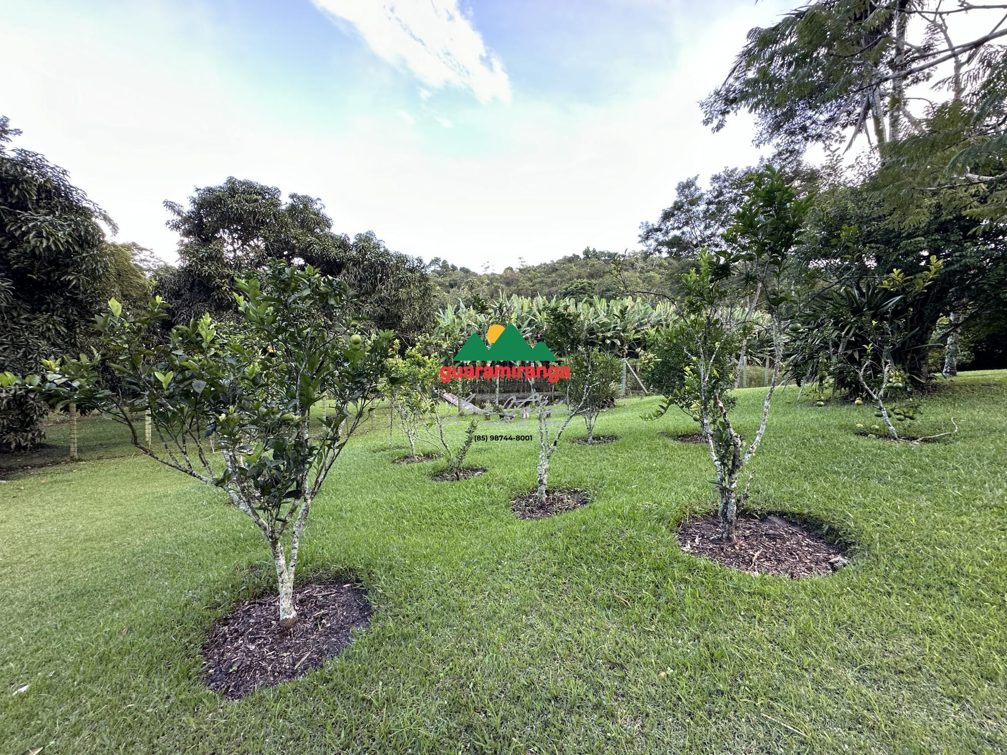 Sítio, 6 quartos, 3 hectares - Foto 100