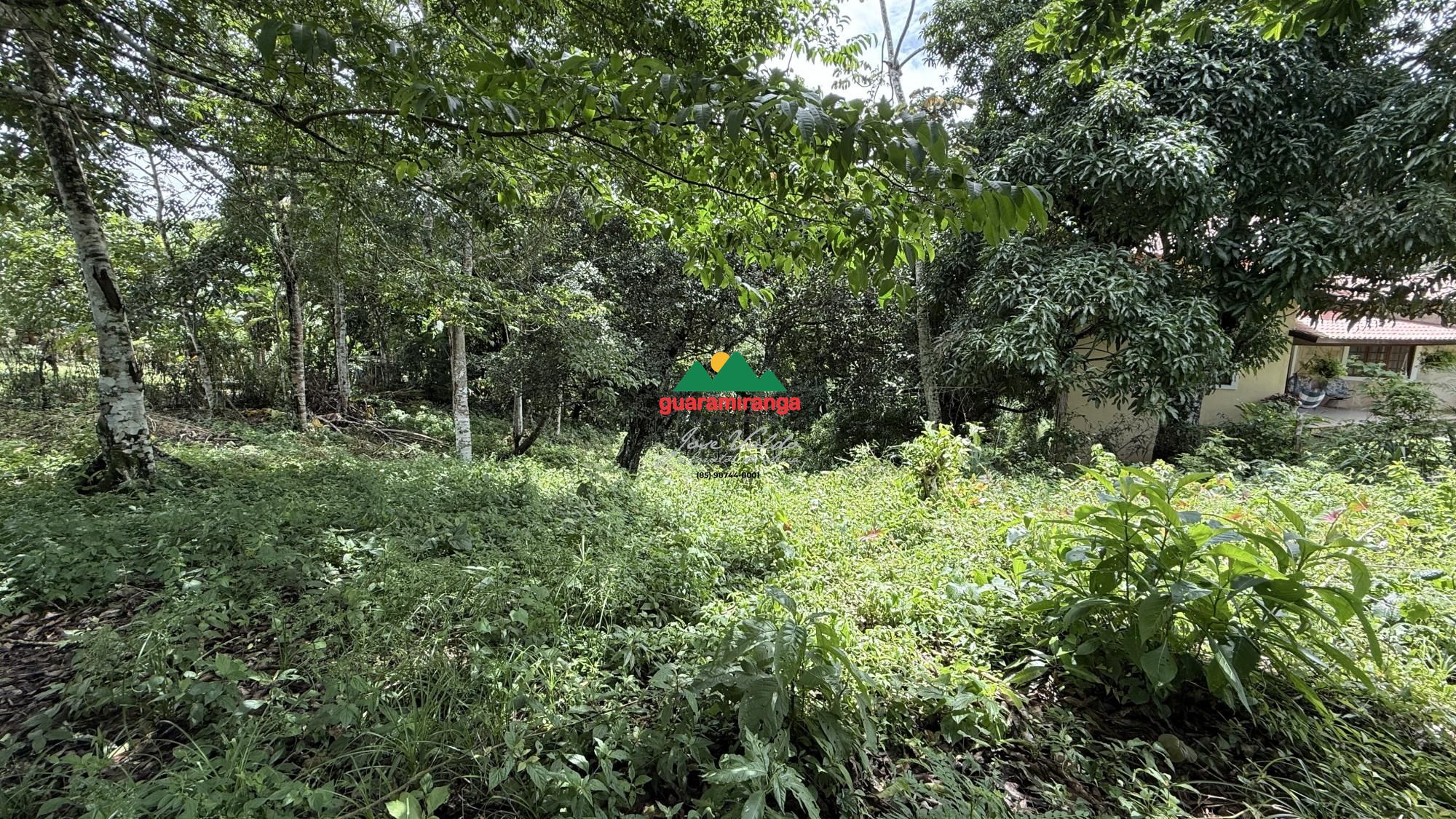 Terreno, 2500 m² - Foto 3
