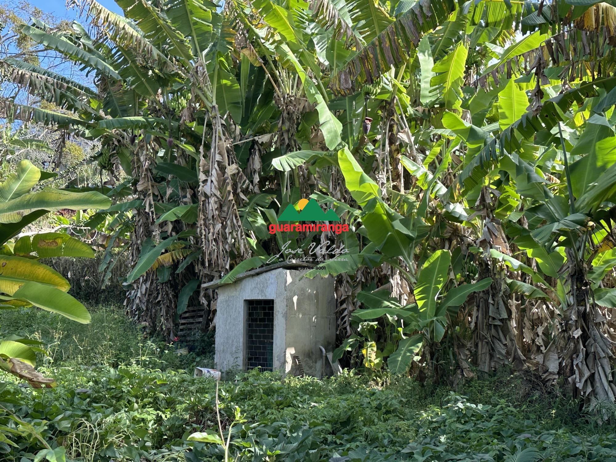 Casa, 7 quartos, 210 m² - Foto 66