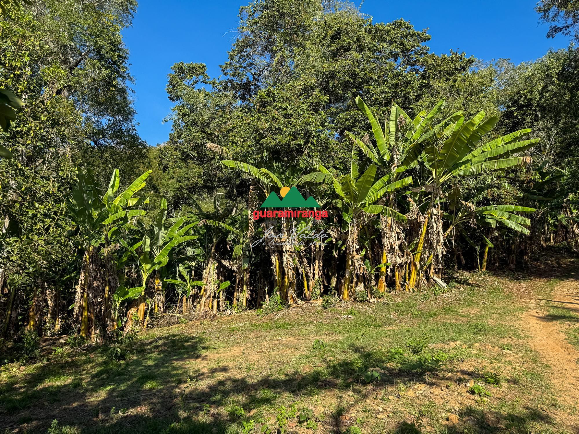 Chácara, 3 quartos, 5 hectares - Foto 15