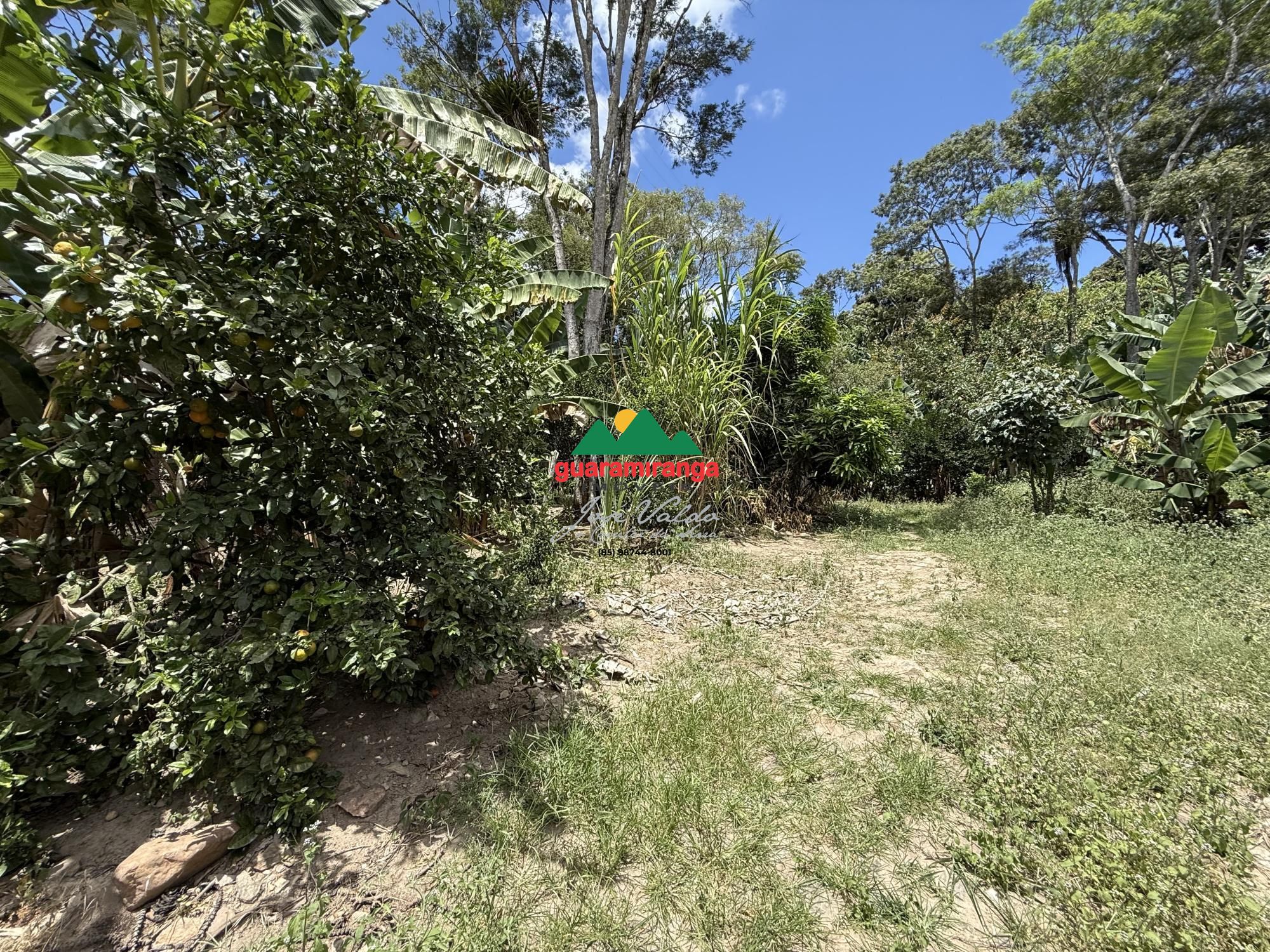 Sítio, 1 quarto, 6 hectares - Foto 13