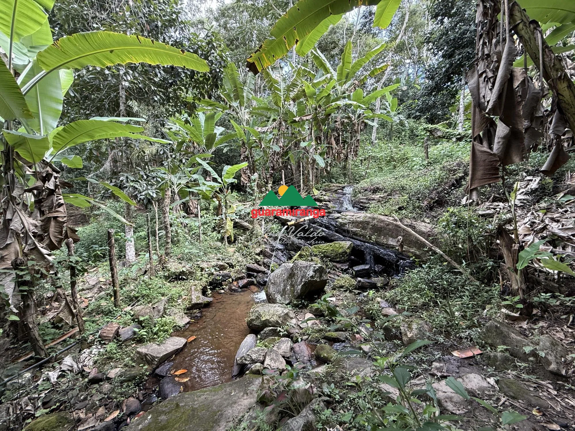 Fazenda/sítio/chácara/haras à venda  no Santa Ana - Pacoti, CE. Imóveis