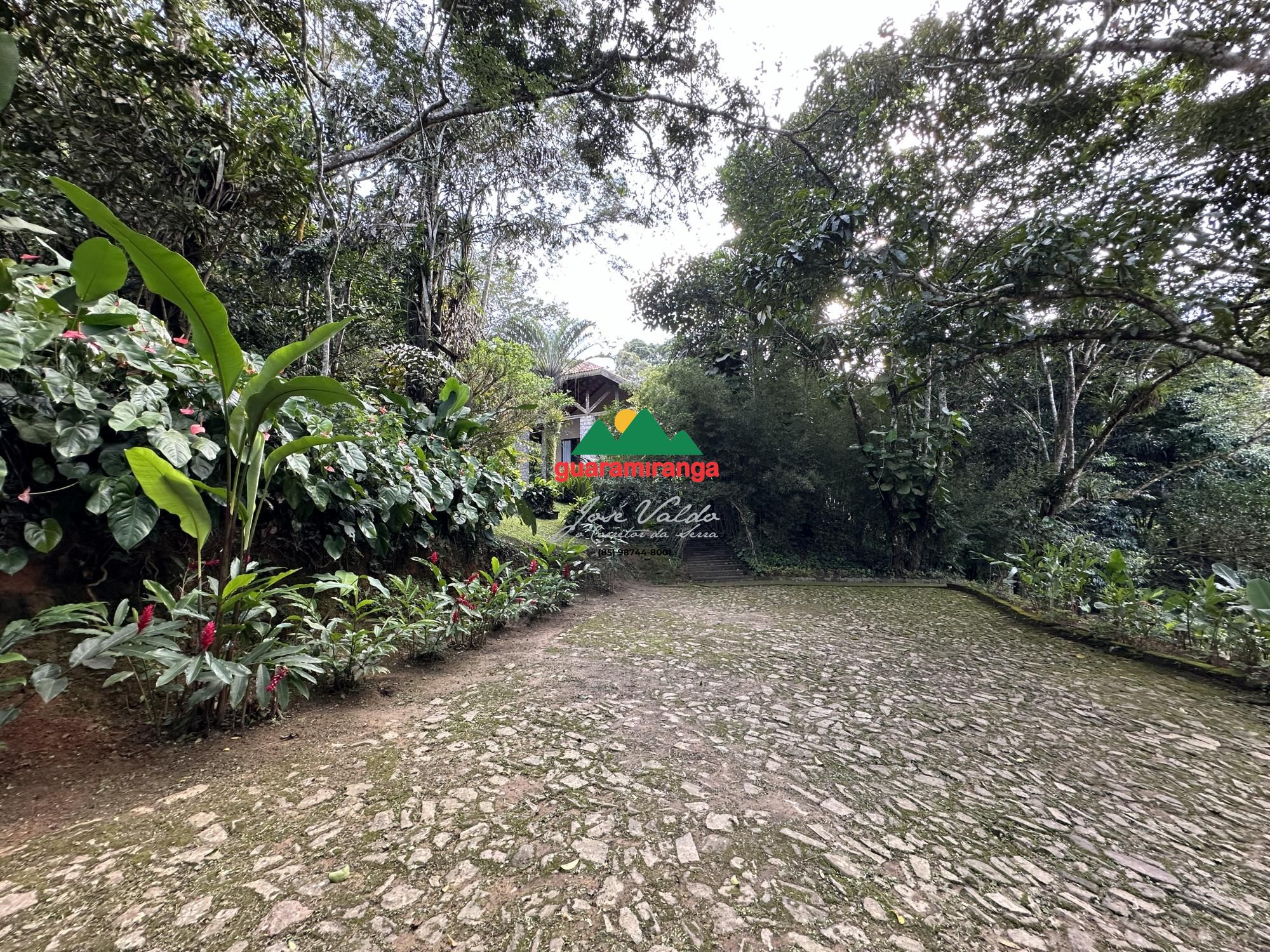 Casa, 7 quartos, 797 m² - Foto 41