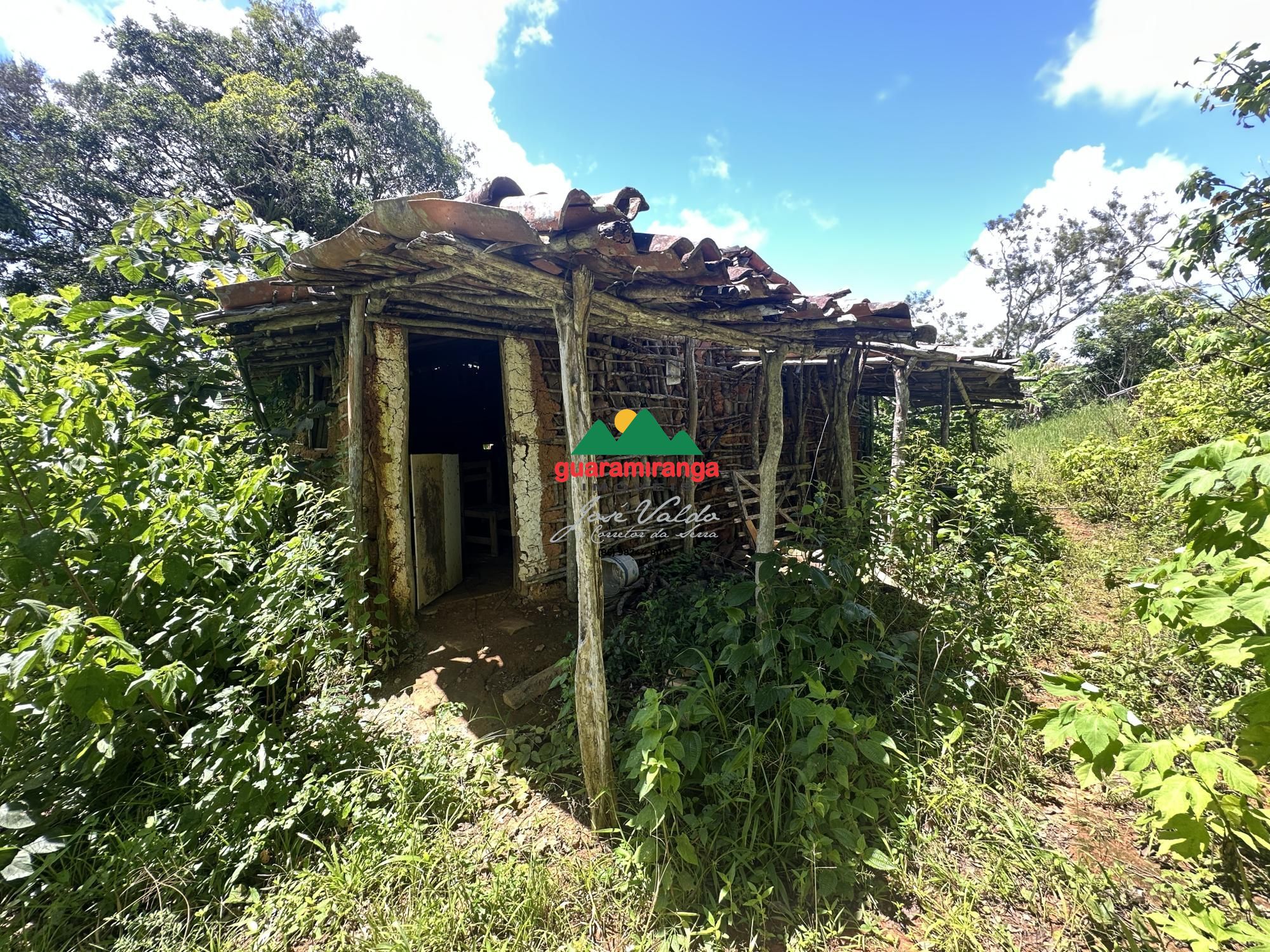 Sítio, 2 quartos, 4 hectares - Foto 17