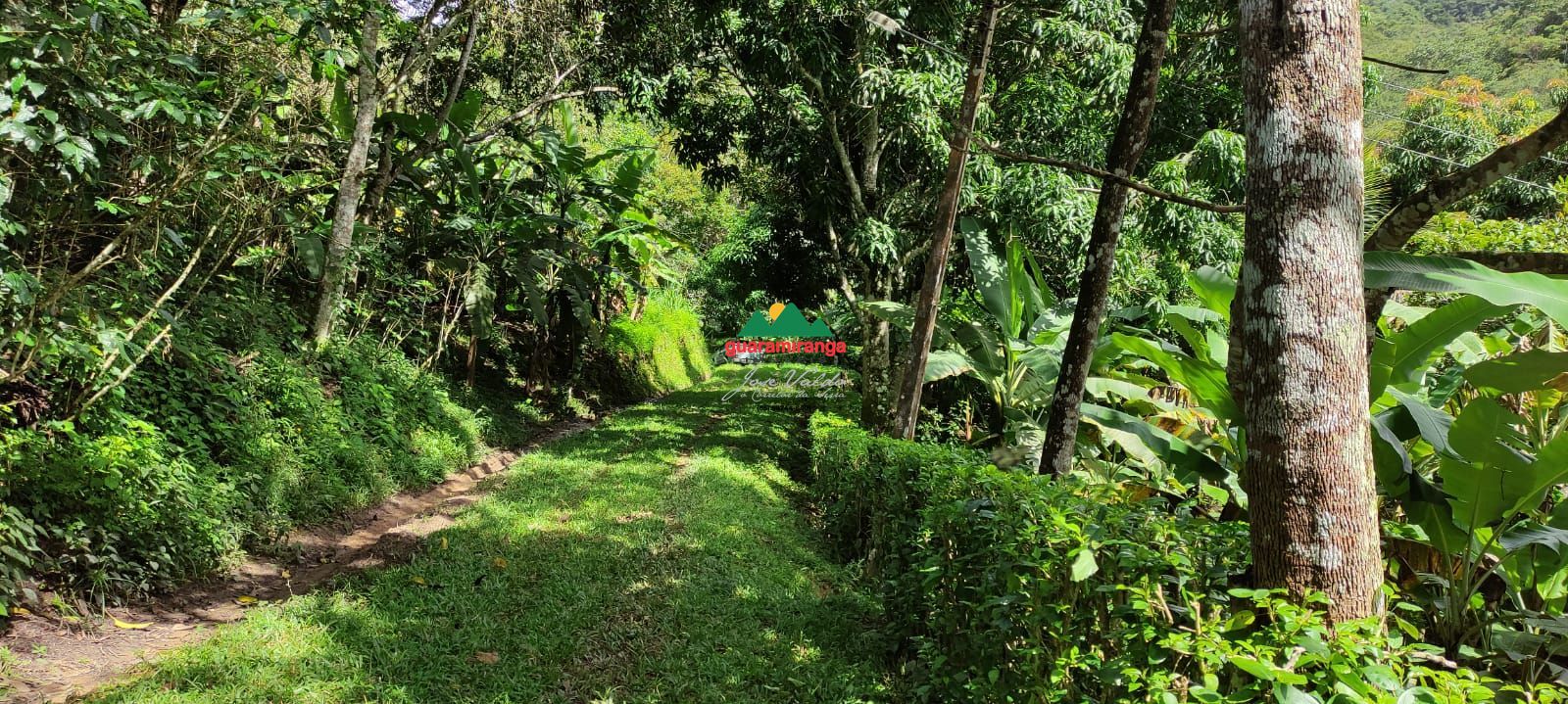 Sítio, 12 quartos, 60 hectares - Foto 18