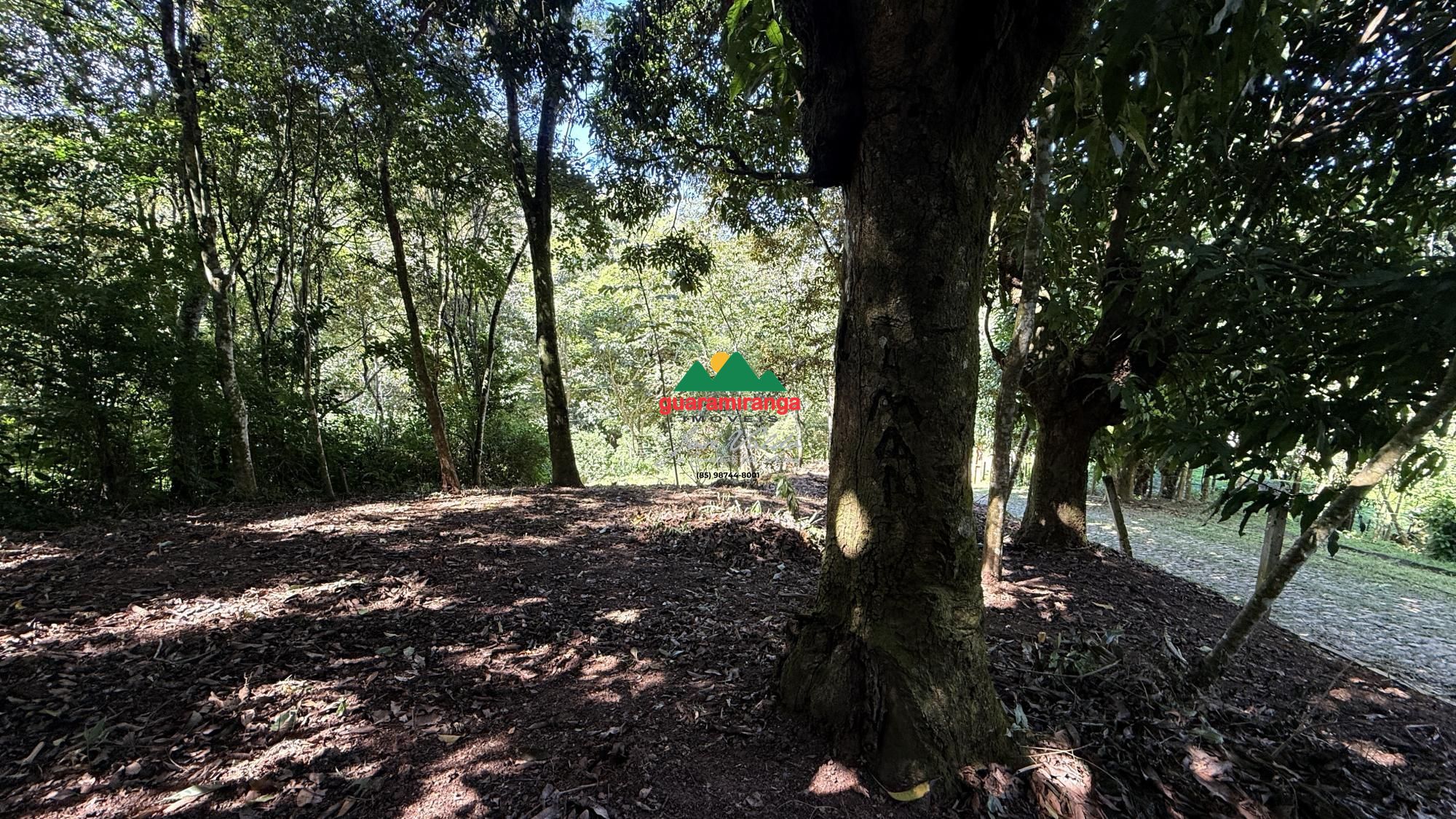 338,97 m² de tranquilidade, natureza e qualidade de vida, em