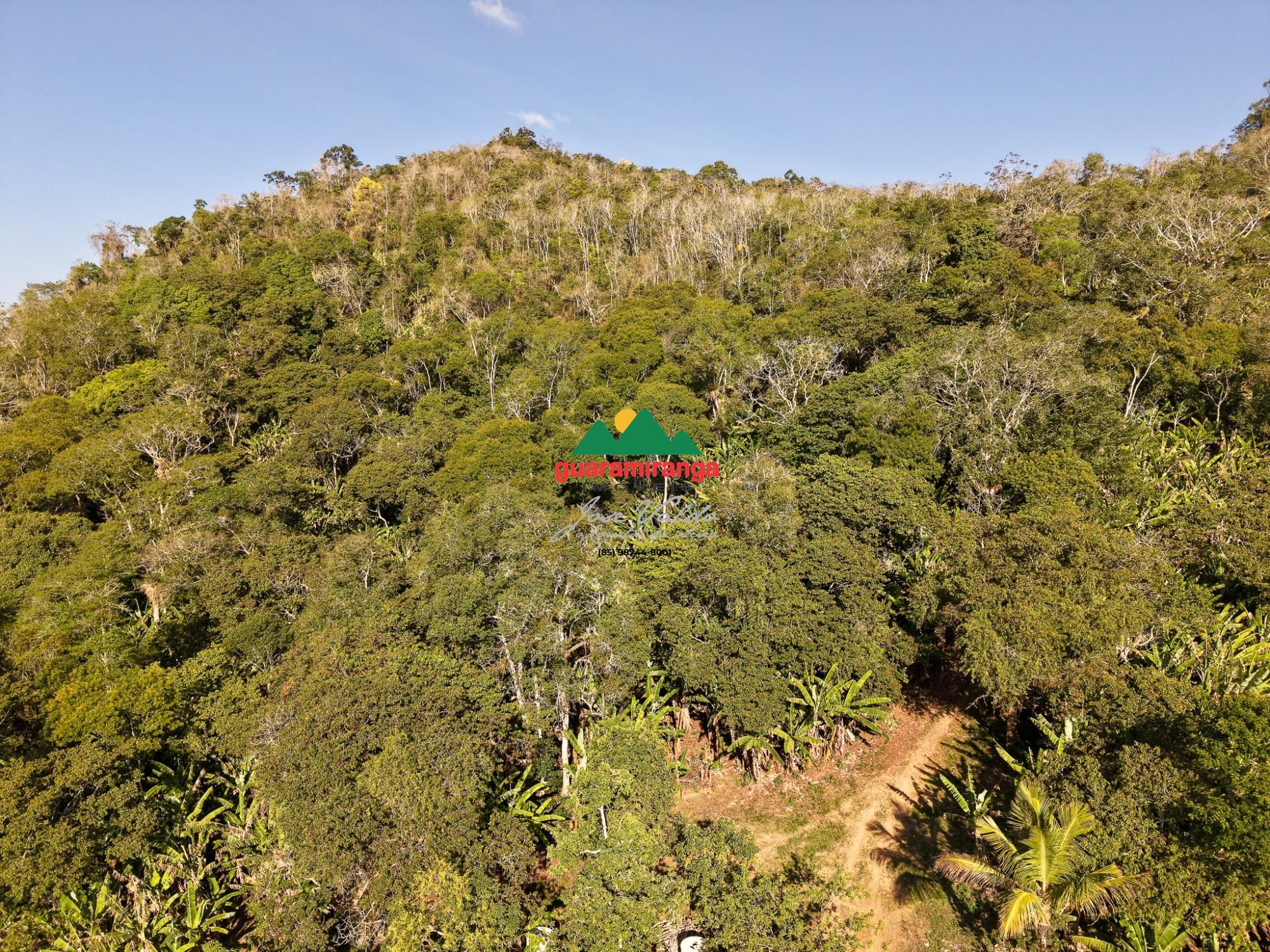 Fazenda/sítio/chácara/haras com 3 Dormitórios à venda, 221 m² por R$ 600.000,00 Fazenda/sítio/chácara/haras com 3 Dormitórios à venda, 221 m² por R$ 600.000,00