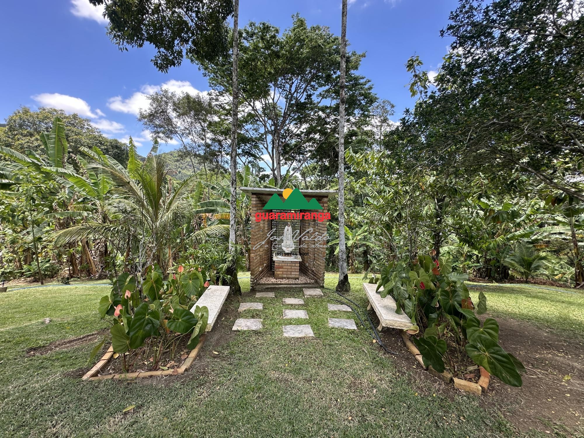 Chácara, 5 quartos, 8 hectares - Foto 23