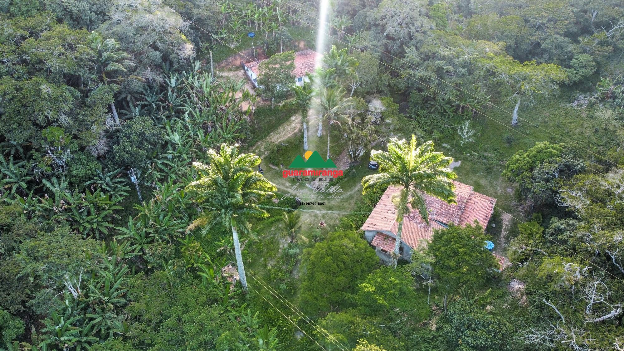 Sítio, 1 quarto, 39 hectares - Foto 6
