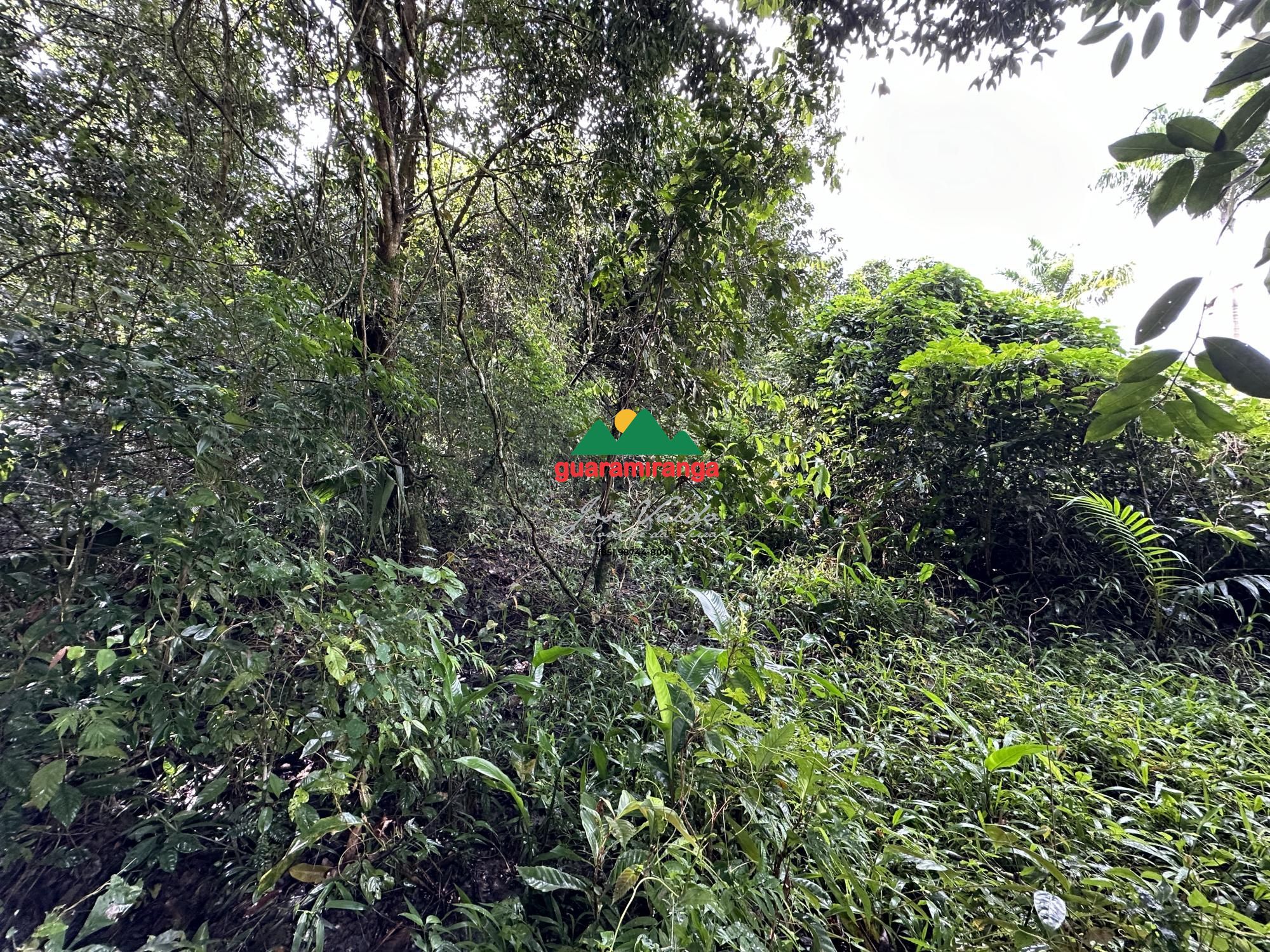 Terreno, 4 hectares - Foto 11