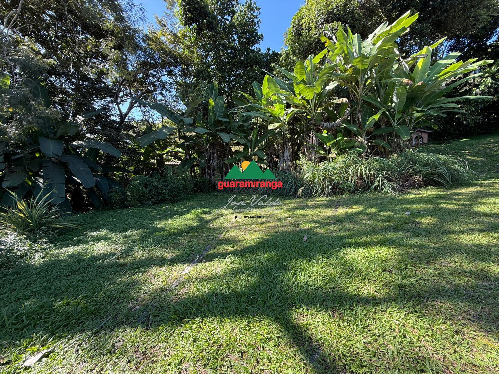 Chácara, 4 quartos, 6332 m² - Foto 47