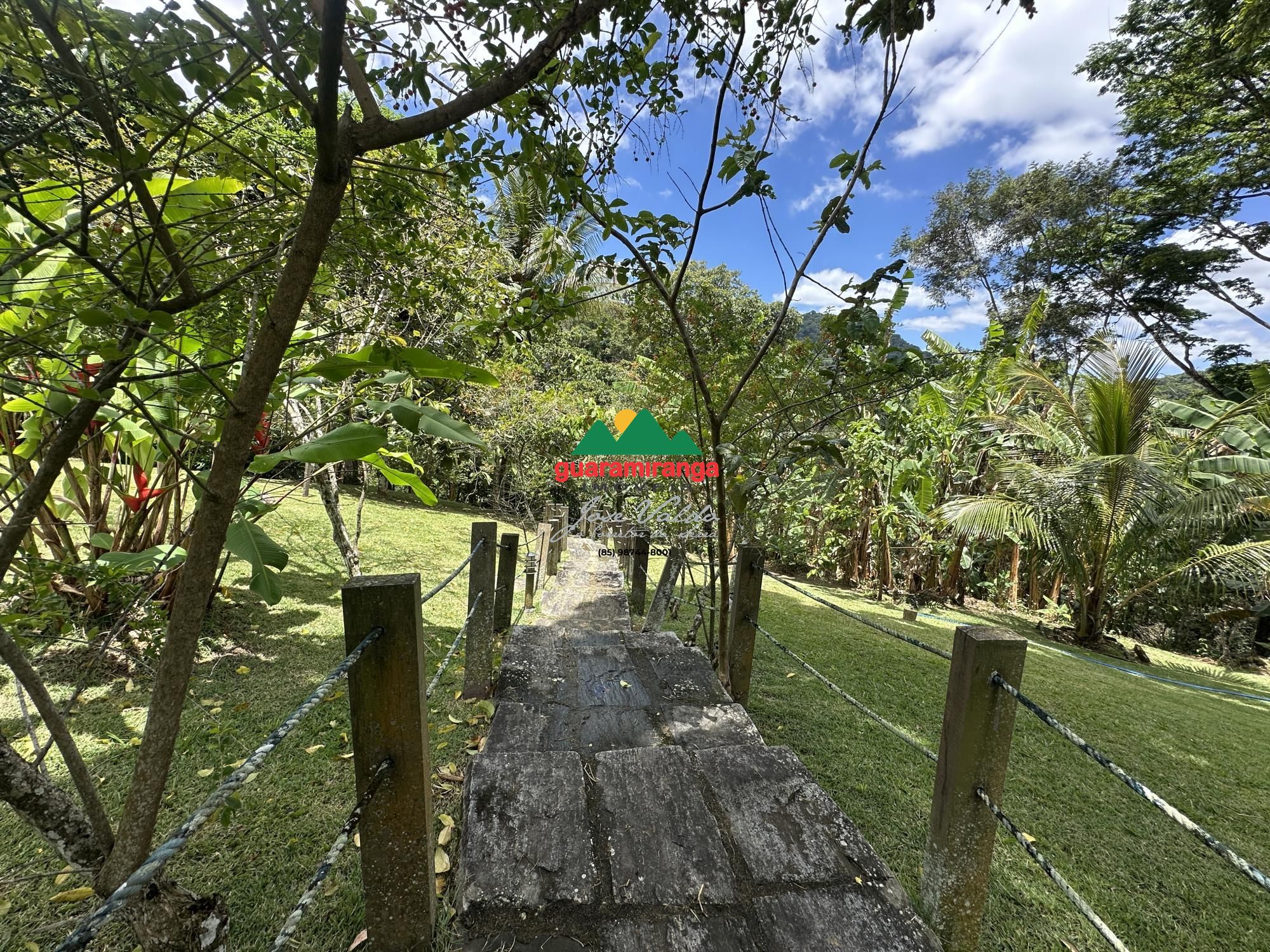 Chácara, 5 quartos, 8 hectares - Foto 20