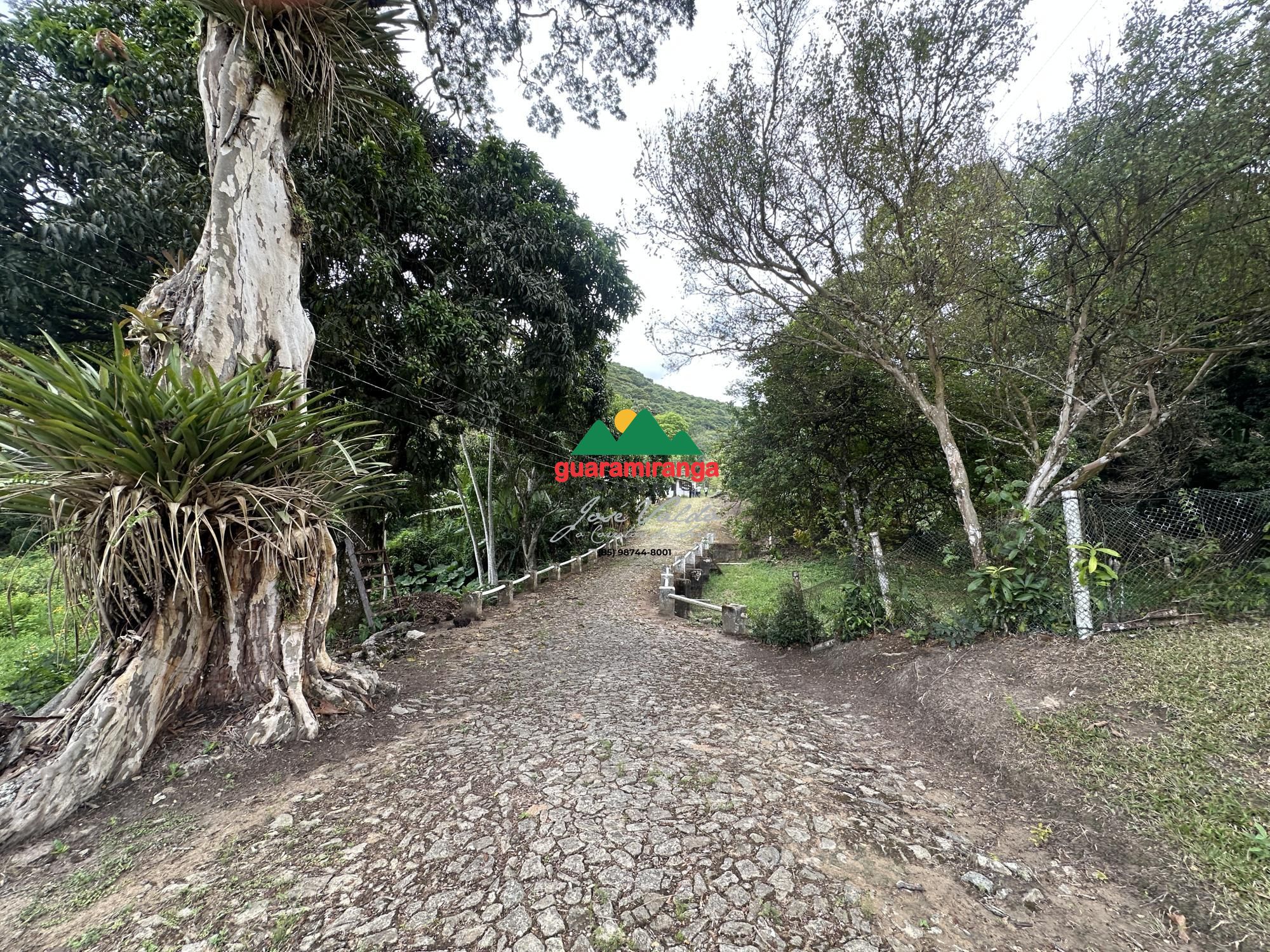 Sítio, 5 quartos, 11 hectares - Foto 20