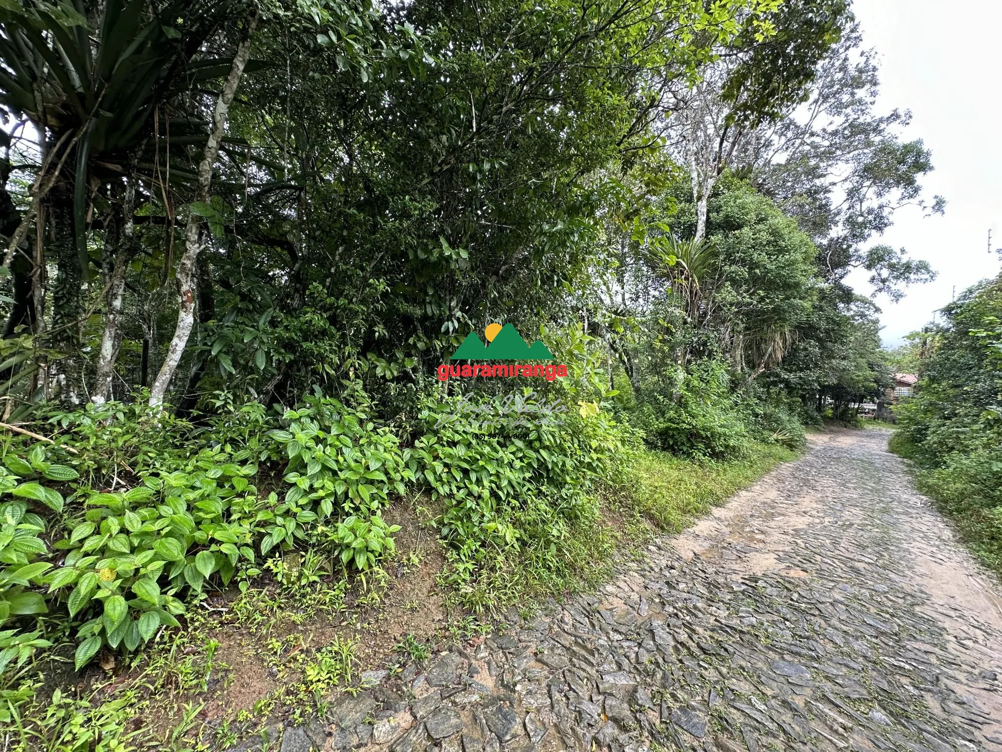 Terreno/Lote à venda  no Zona Rural - Guaramiranga, CE. Imóveis