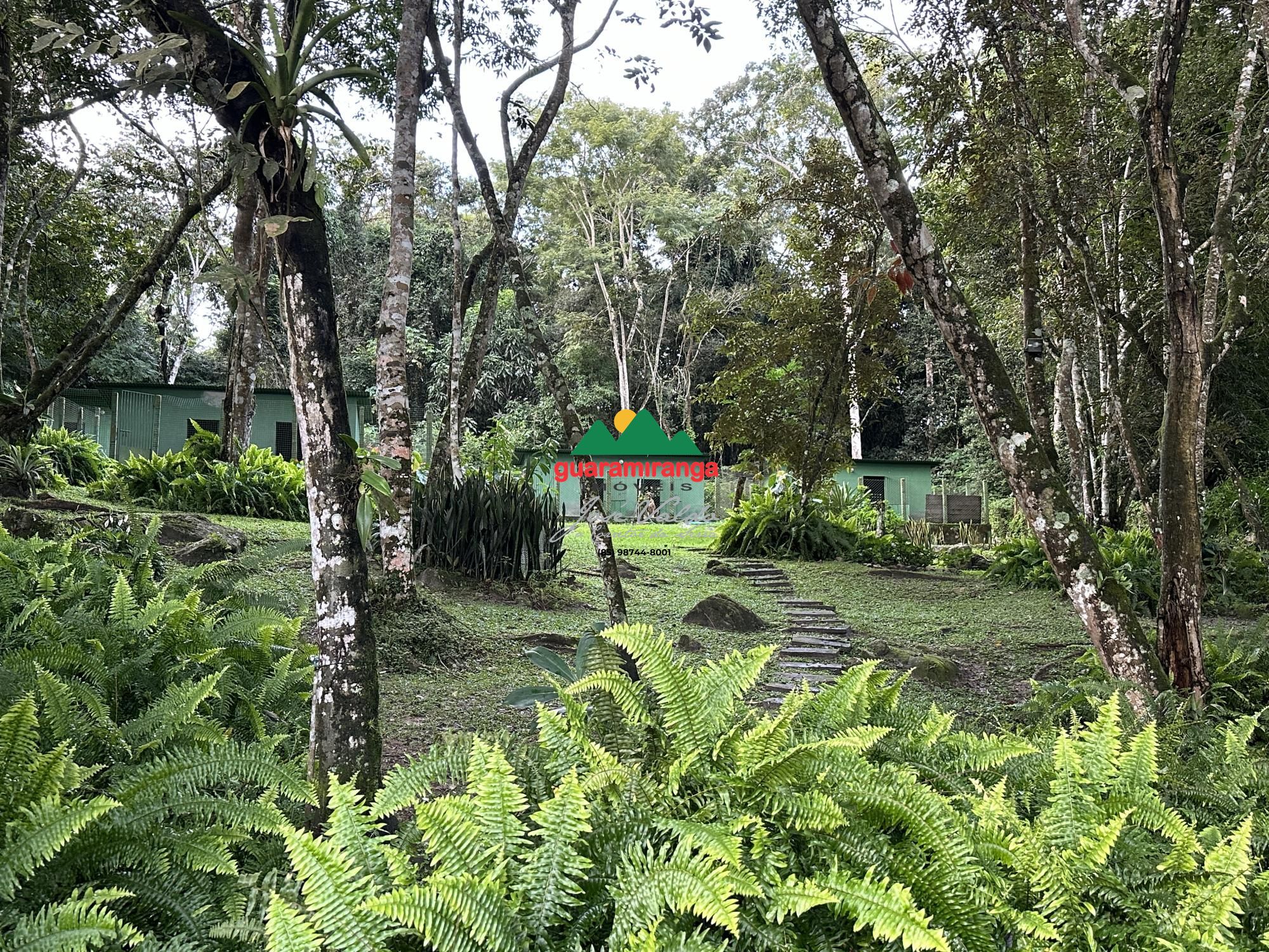 Sítio, 6 quartos, 3 hectares - Foto 66