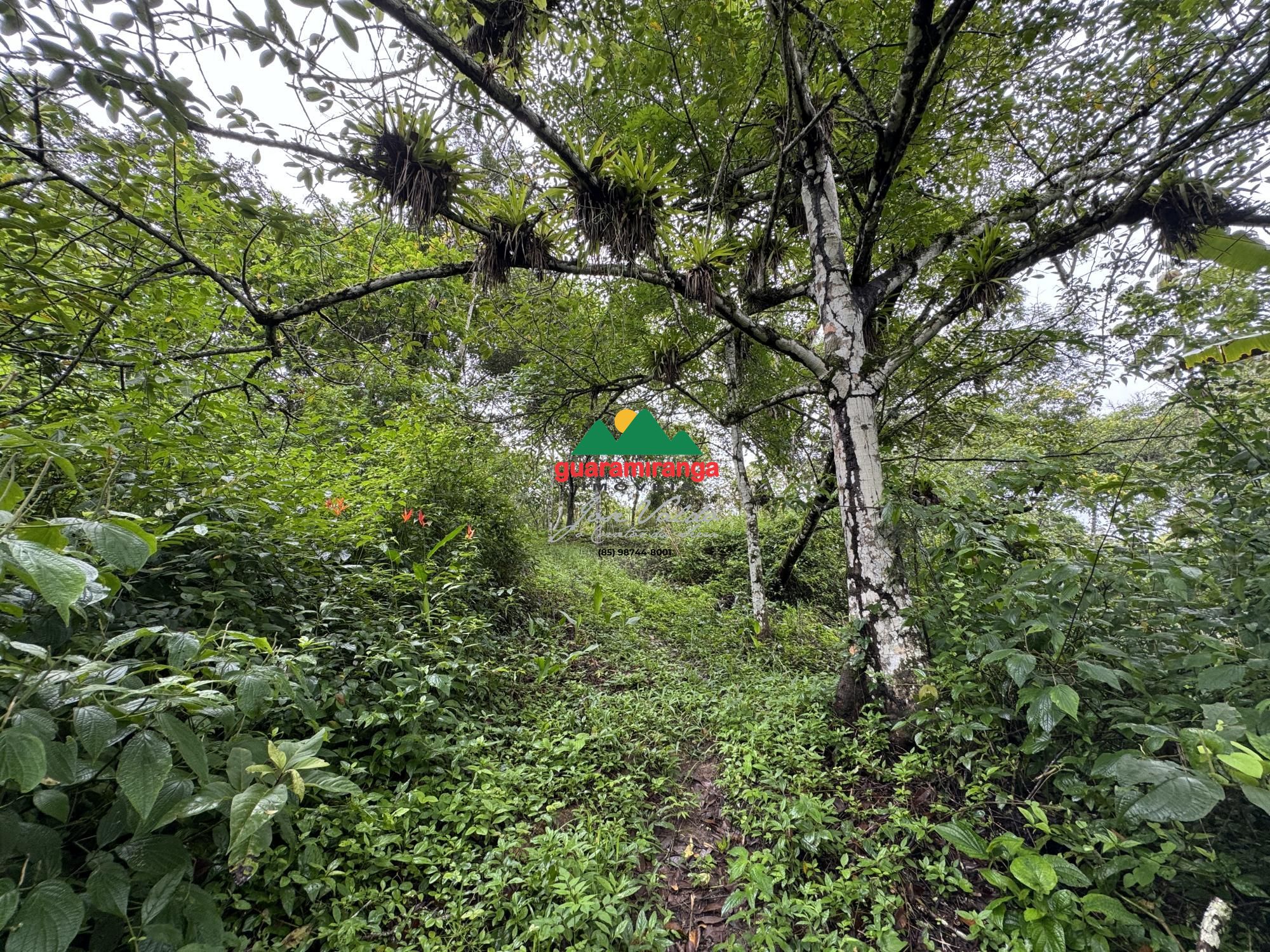 Terreno, 7675 m² - Foto 17