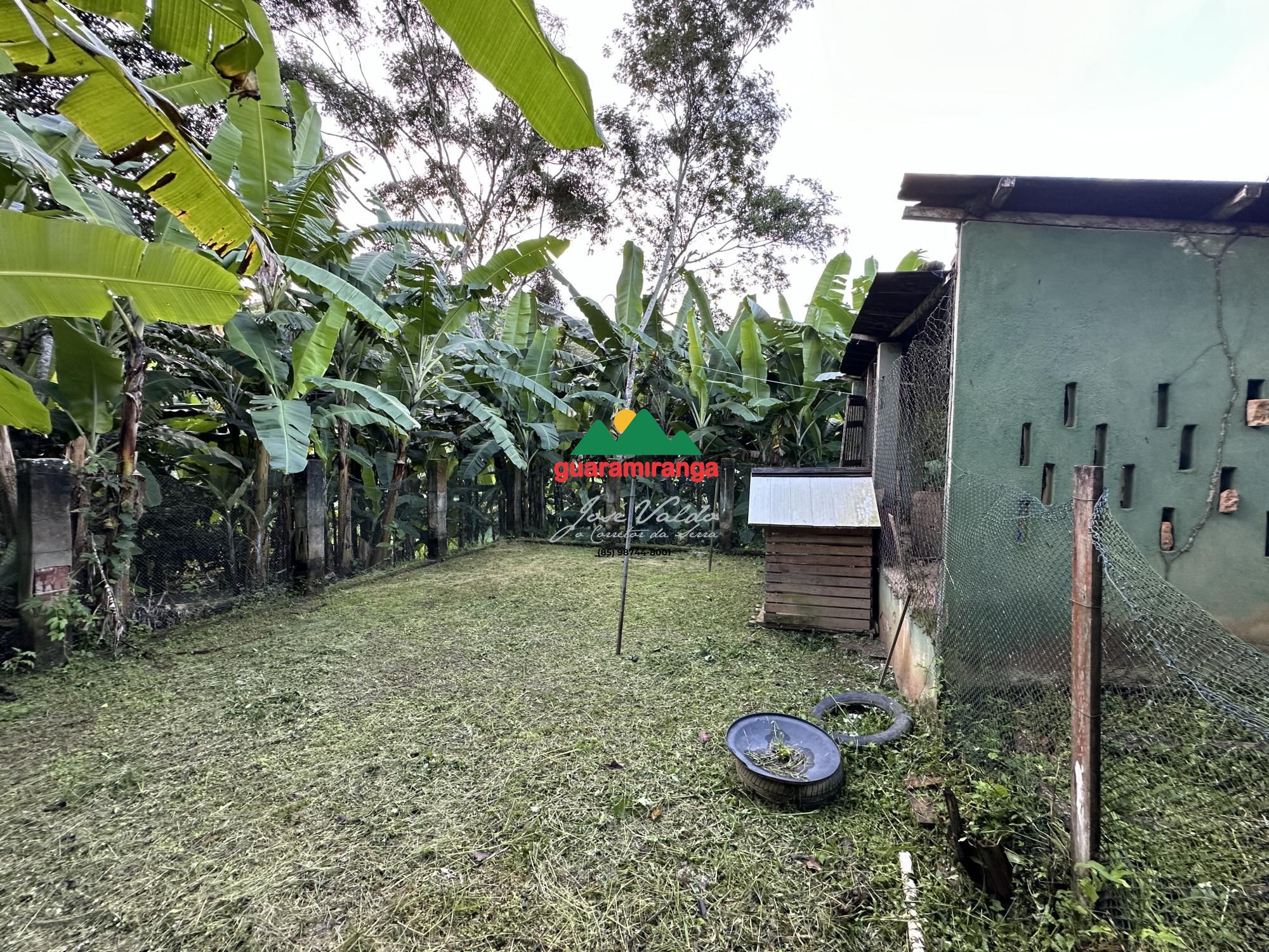 Sítio, 6 quartos, 3 hectares - Foto 115