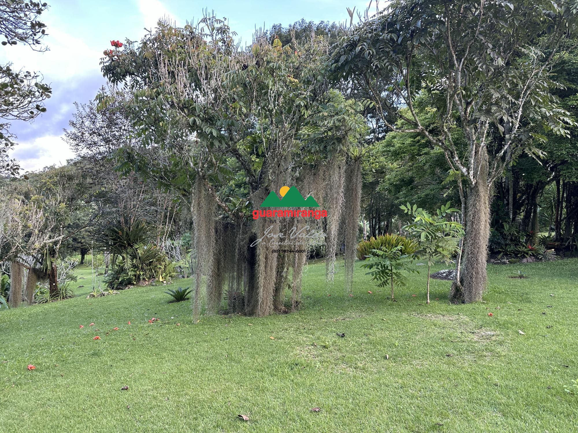 Sítio, 6 quartos, 3 hectares - Foto 68