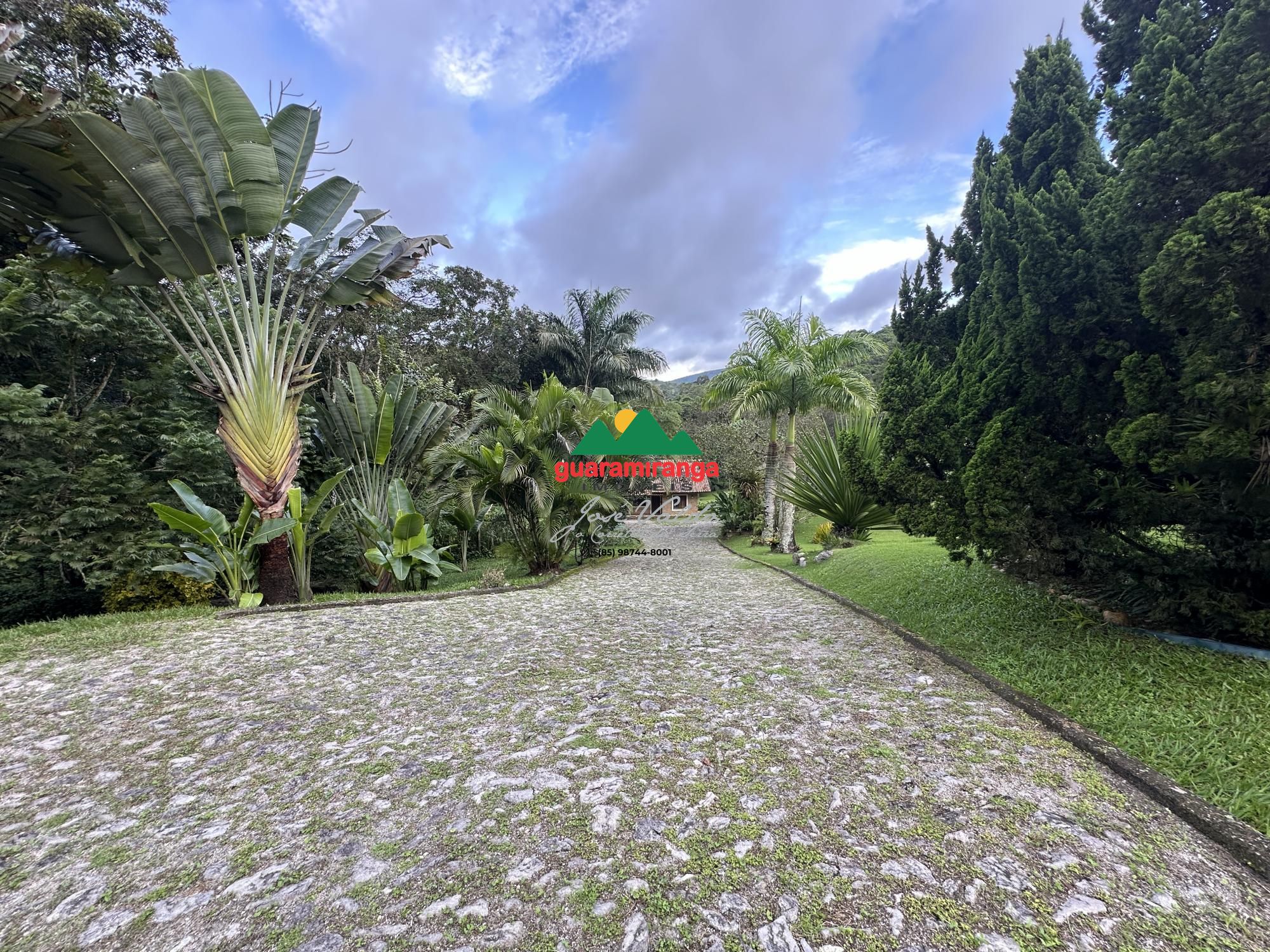 Sítio, 6 quartos, 3 hectares - Foto 78