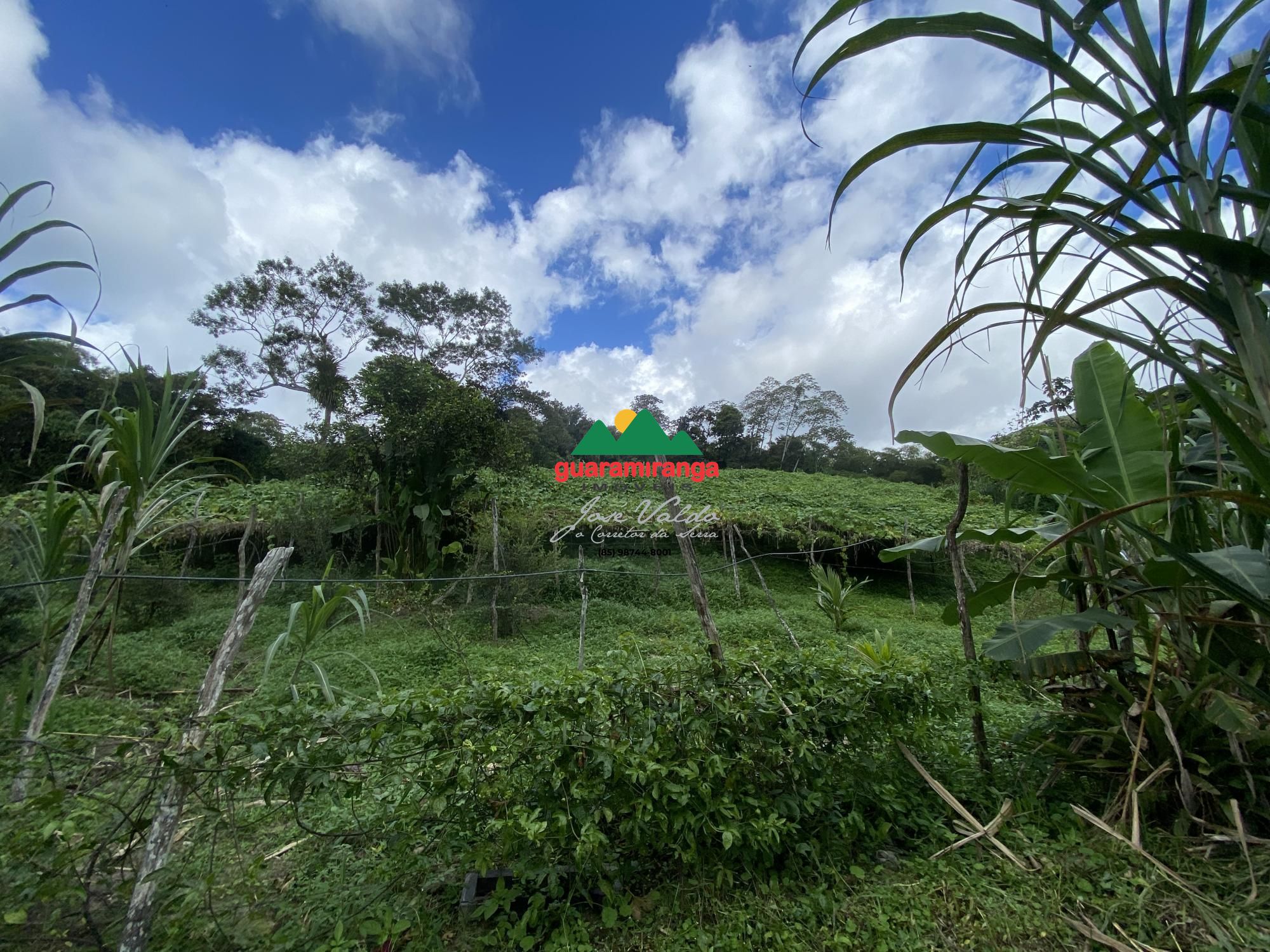 Sítio, 7 quartos, 31 hectares - Foto 42