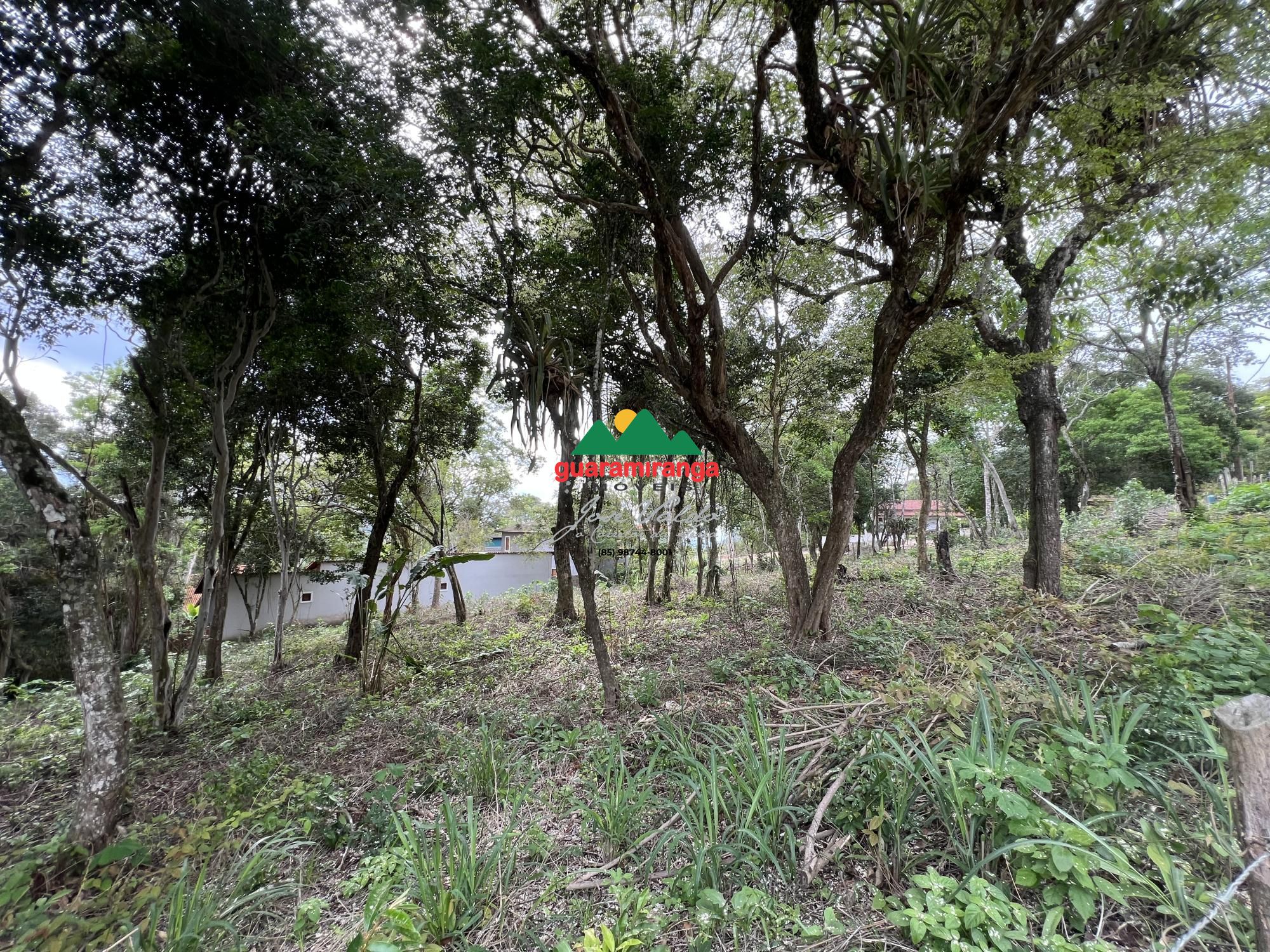 Terreno, 1600 m² - Foto 12