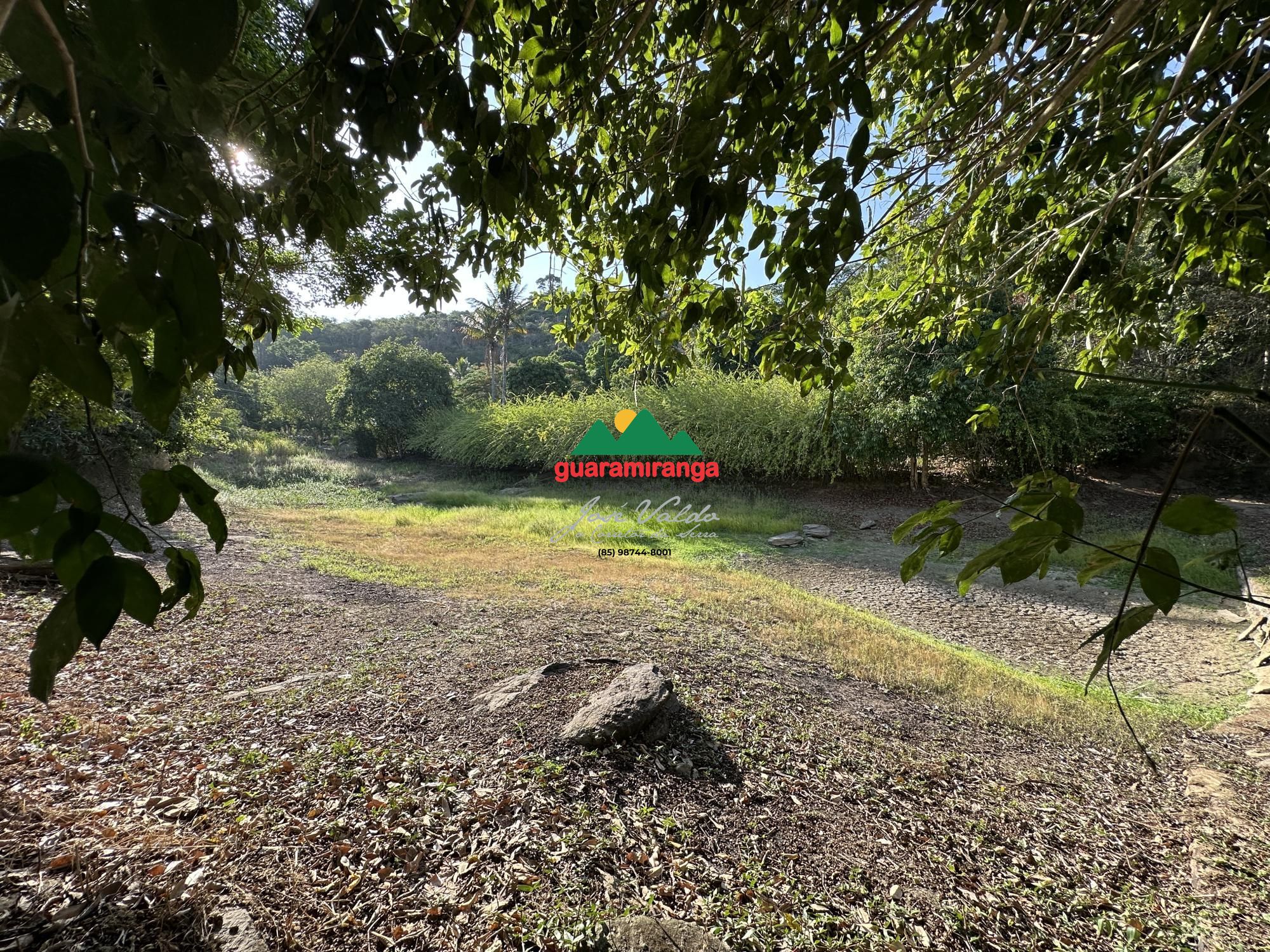 Sítio, 4 quartos, 3 hectares - Foto 67