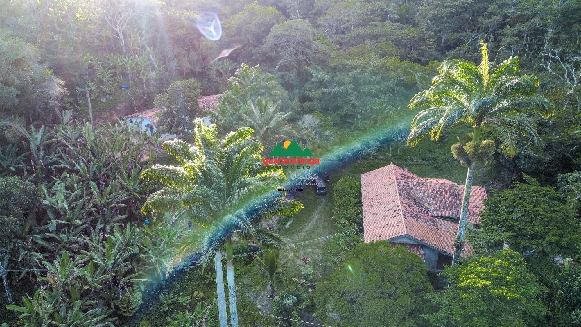 Sítio, 1 quarto, 39 hectares - Foto 2