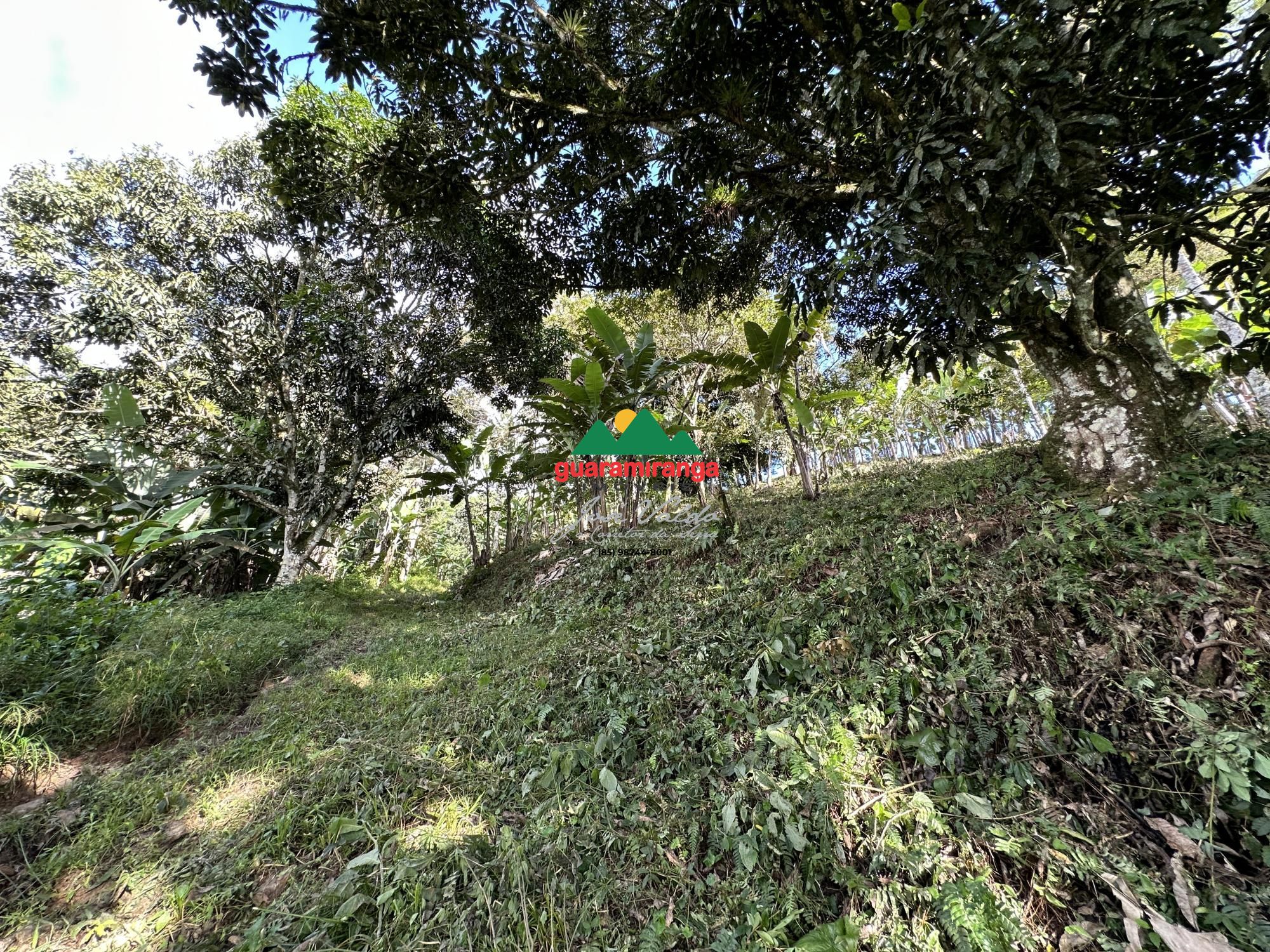 Sítio, 1 quarto, 26 hectares - Foto 14