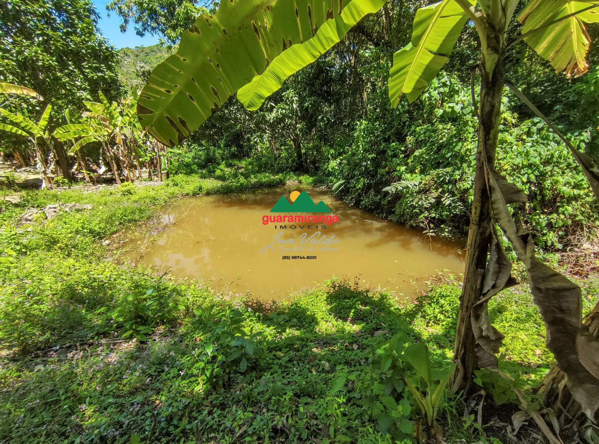 Terreno/Lote à venda  no Santa Ana - Pacoti, CE. Imóveis