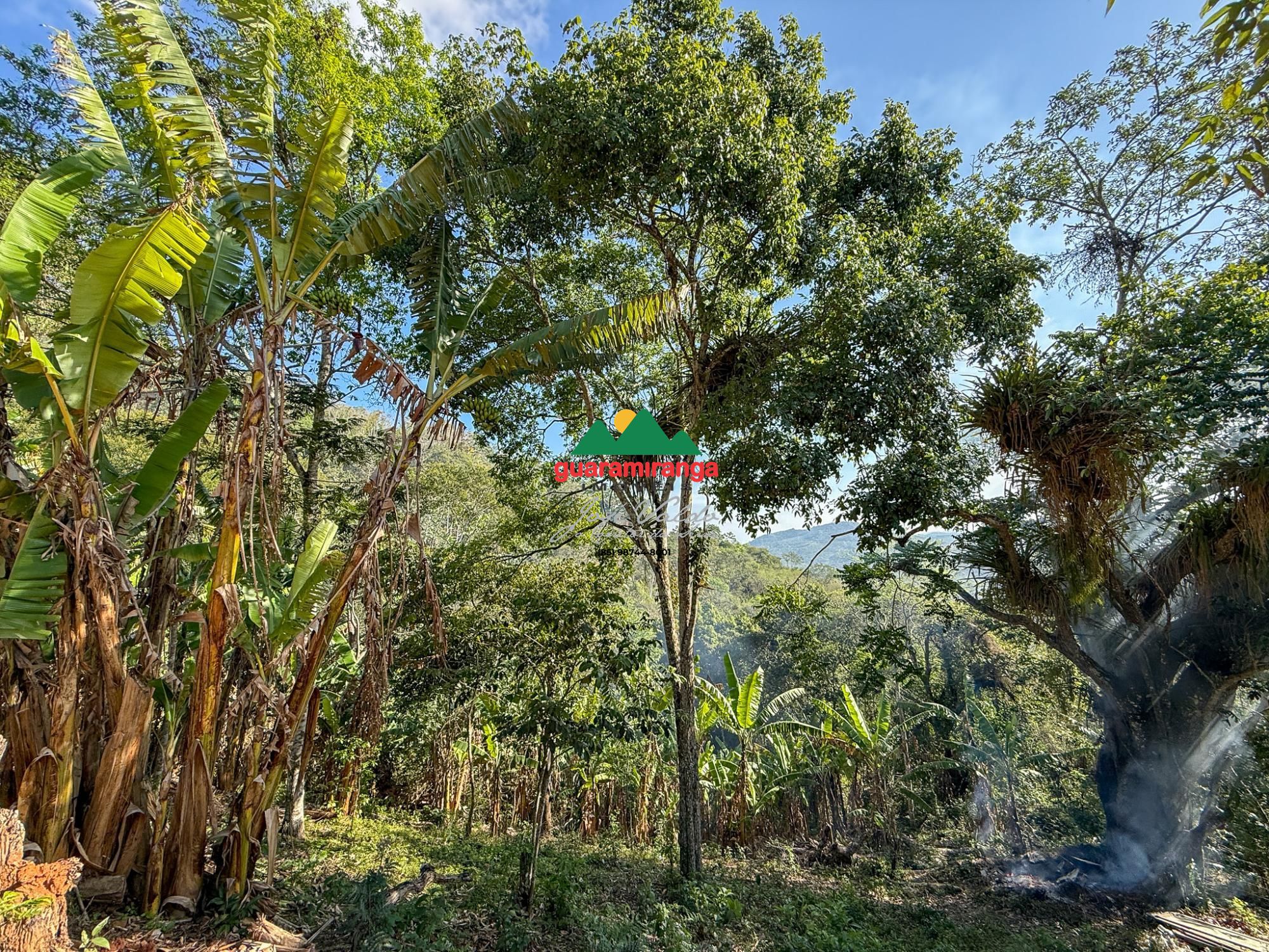 Chácara, 3 quartos, 5 hectares - Foto 13