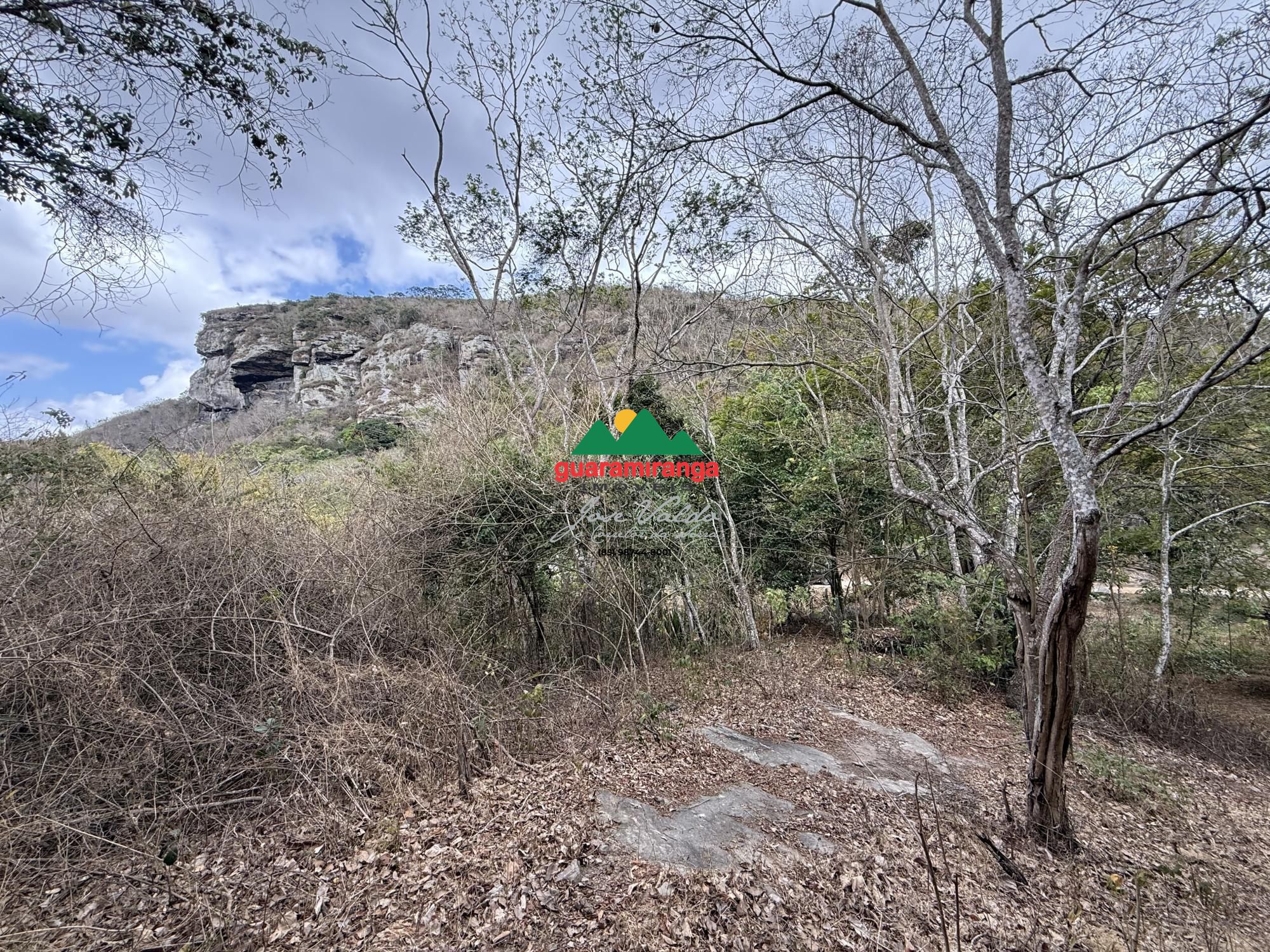 Chácara, 2 quartos, 7 hectares - Foto 9