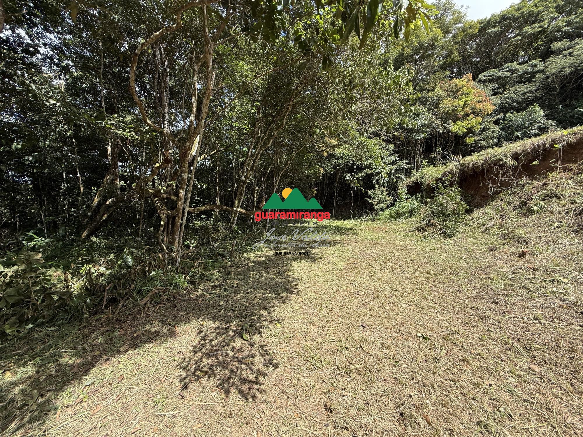Terreno, 2 hectares - Foto 9
