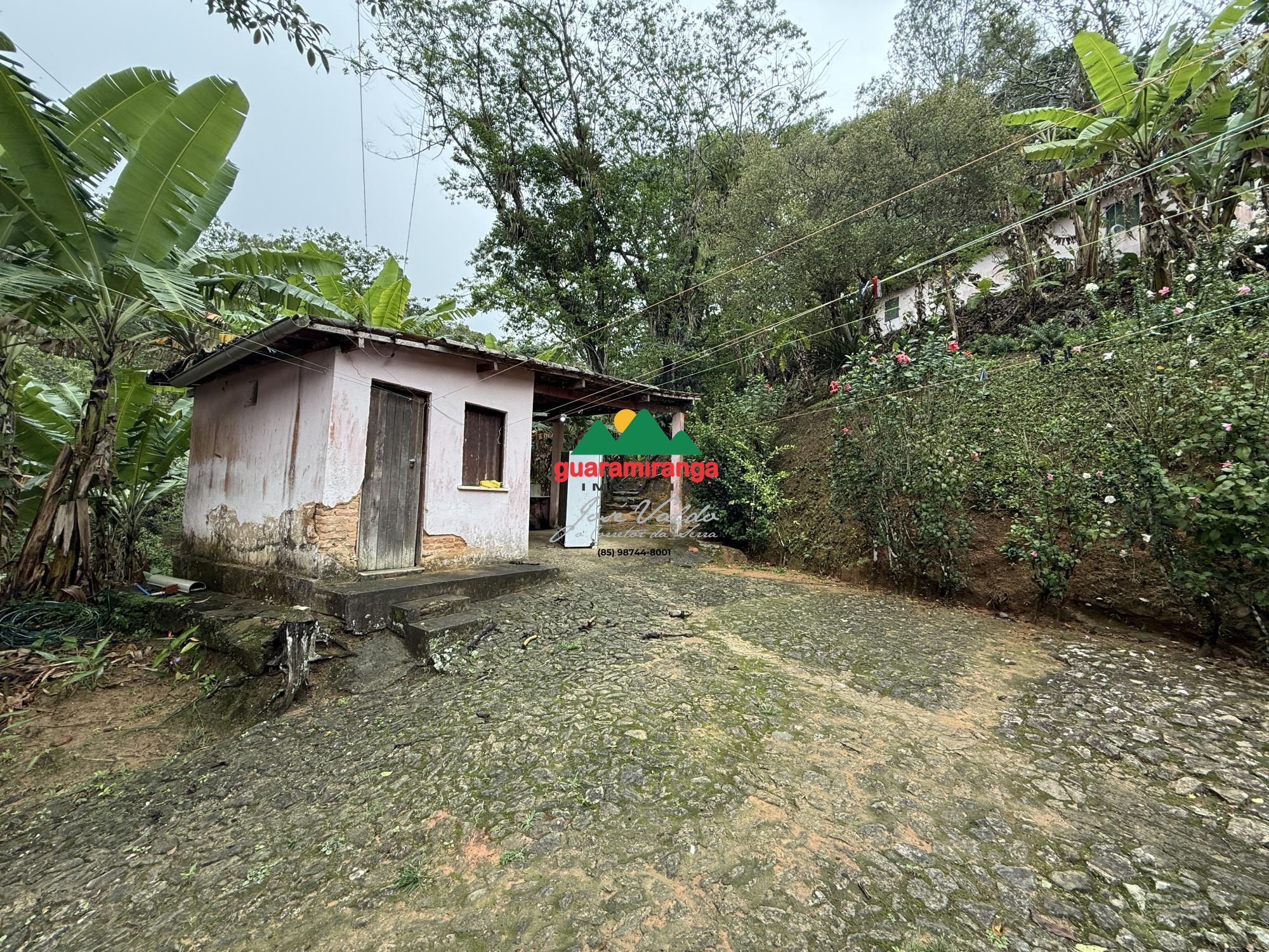Chácara, 5 quartos, 7200 m² - Foto 22