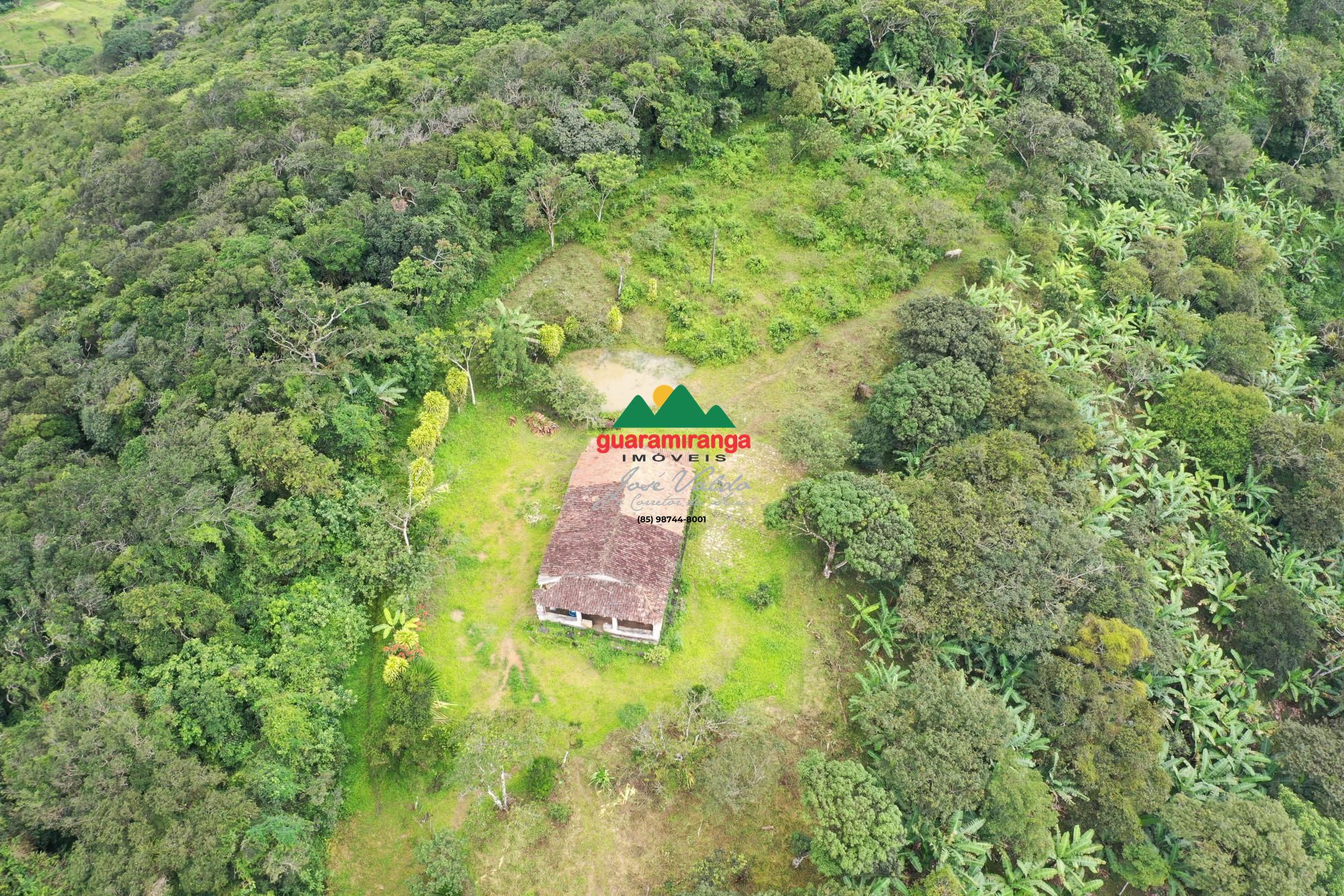 Sítio, 1 quarto, 26 hectares - Foto 21