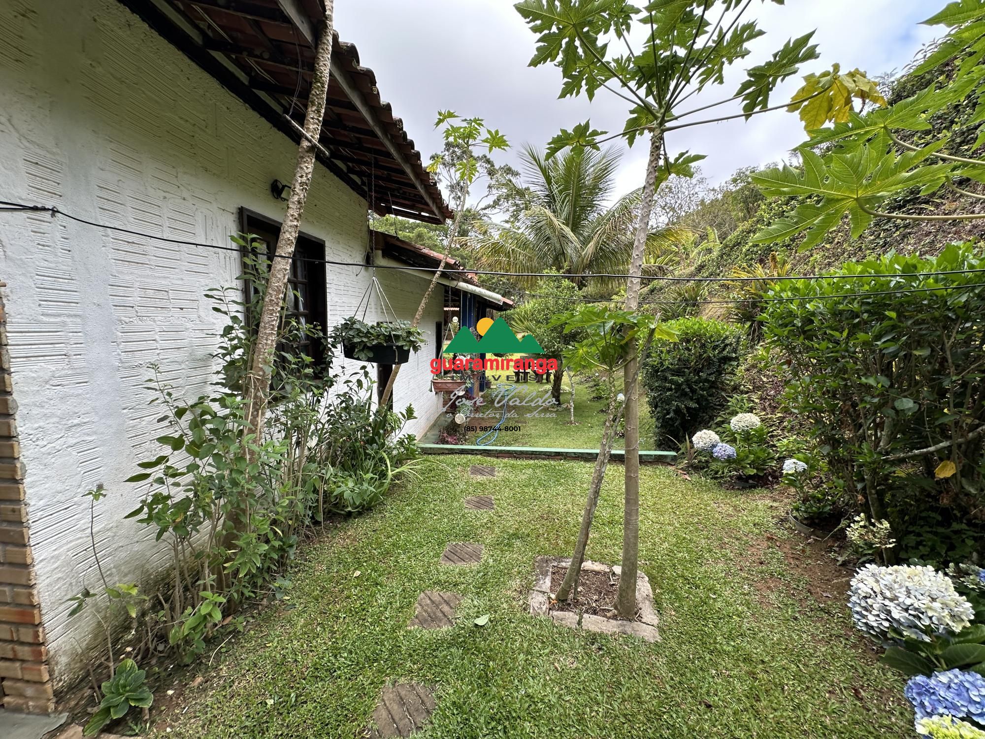 Chácara, 4 quartos, 10000 m² - Foto 40