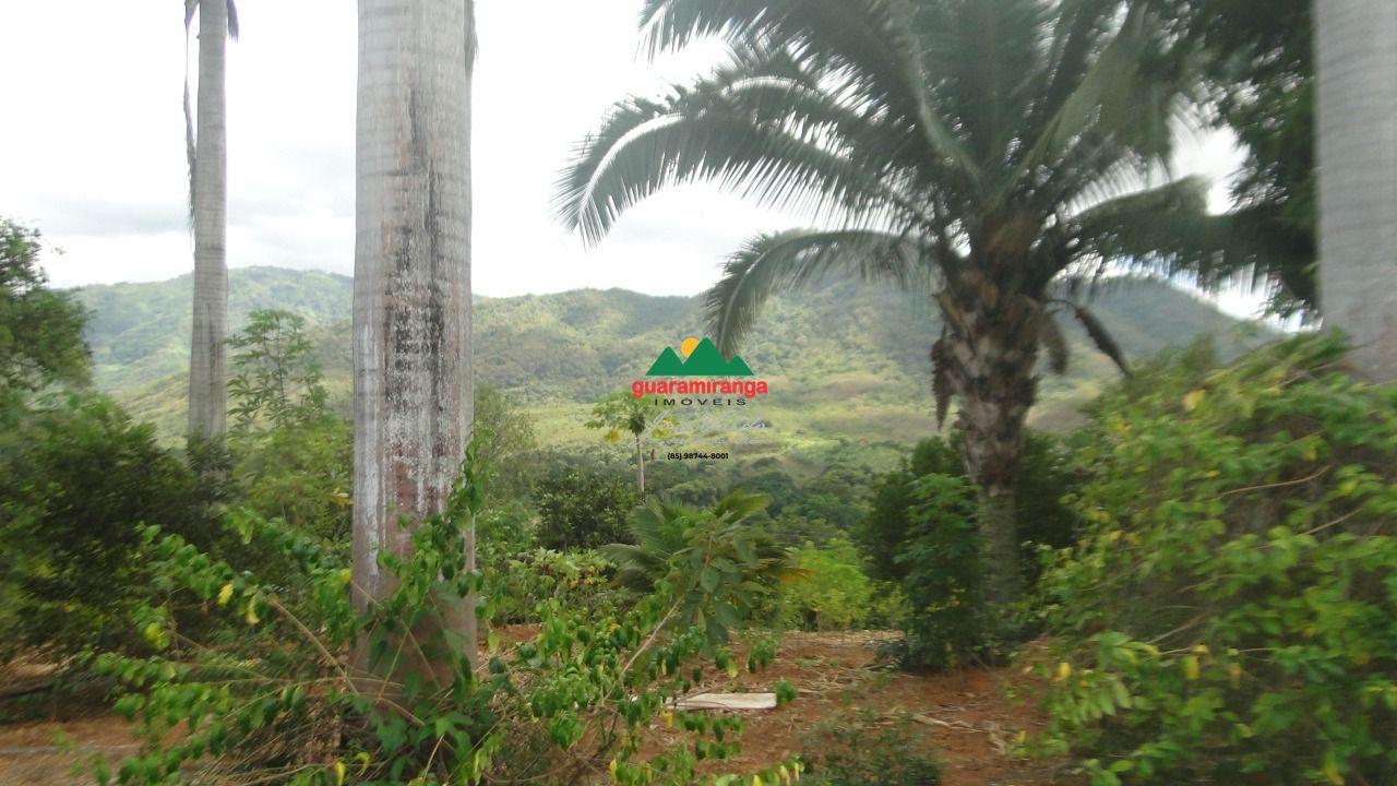 Sítio, 5 quartos, 10 hectares - Foto 12