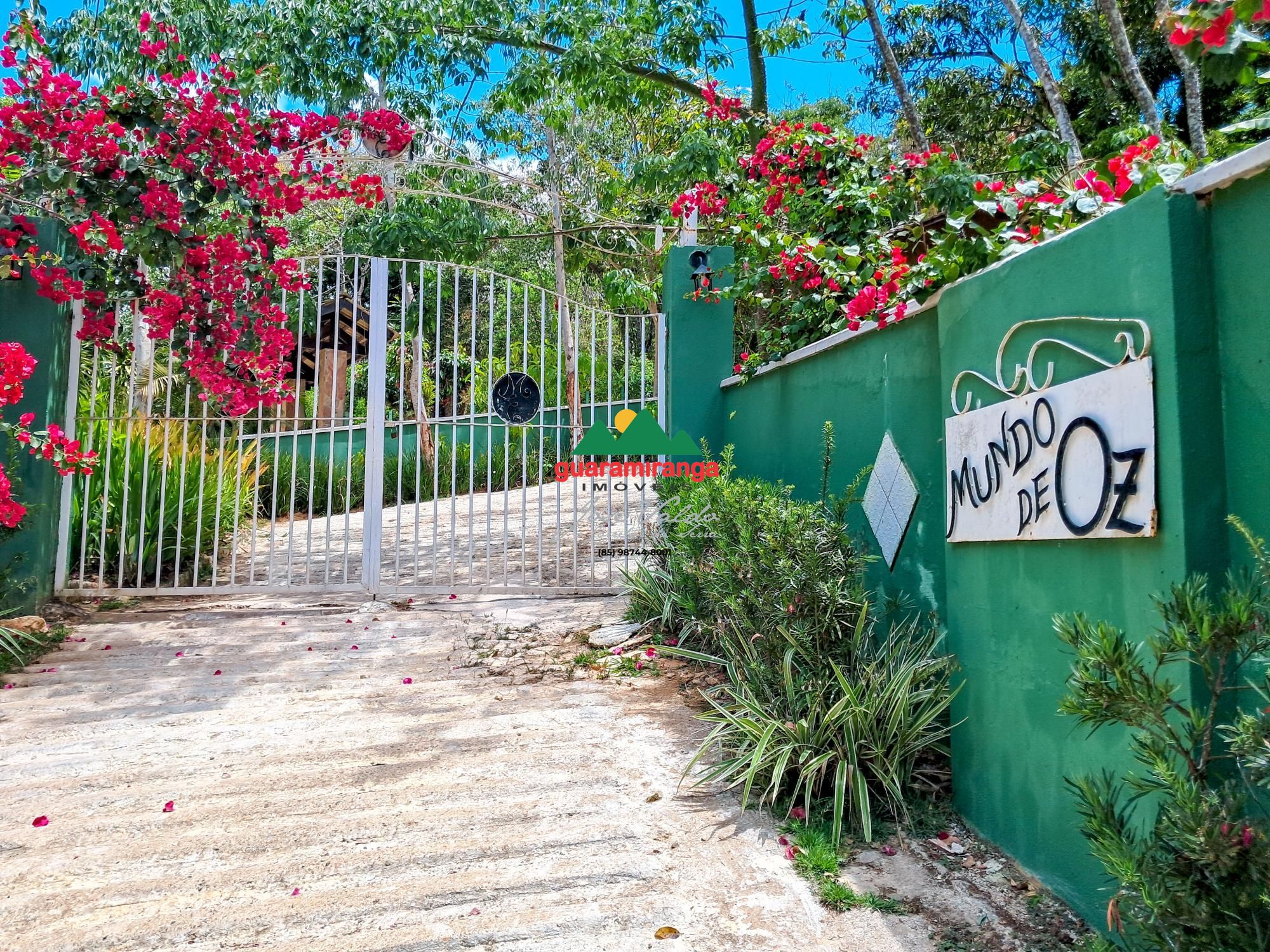 Chácara, 4 quartos, 5000 m² - Foto 4