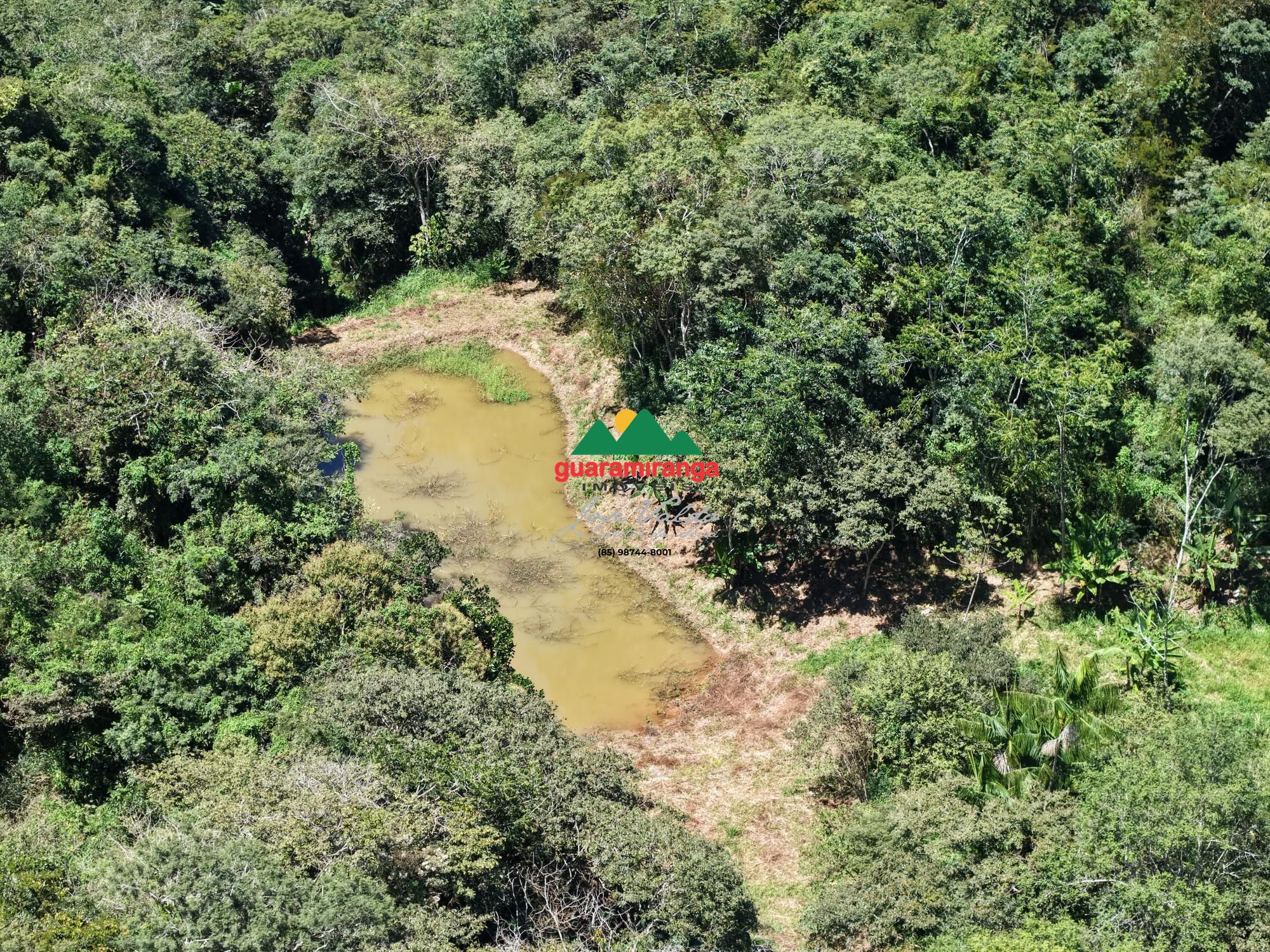 Sítio, 3 quartos, 18 hectares - Foto 21
