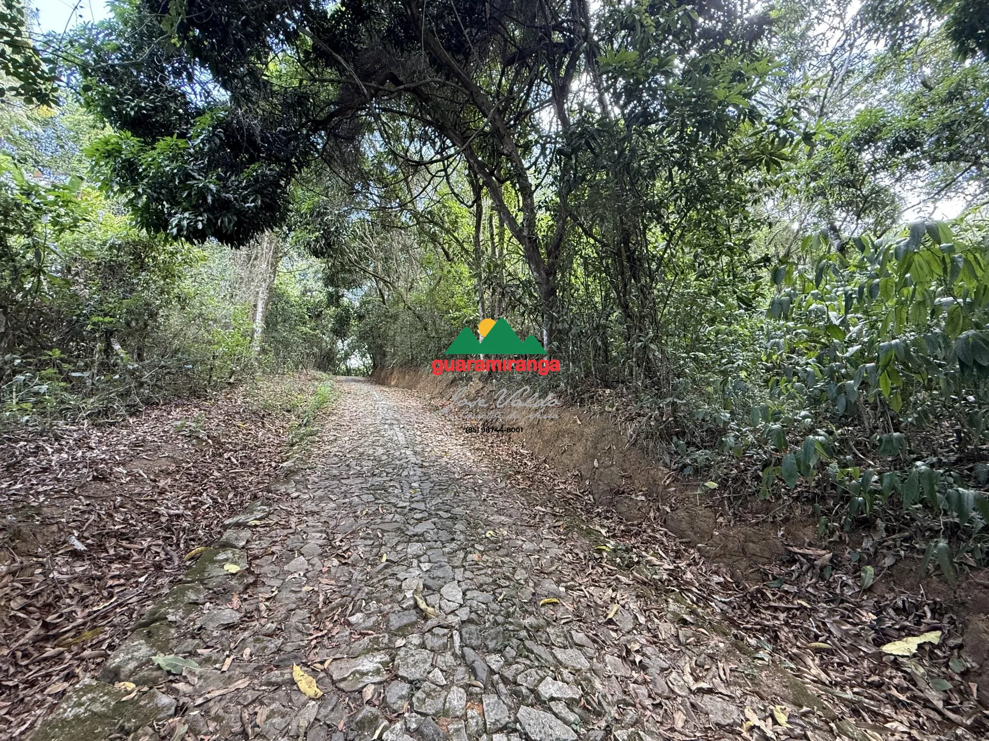 Terreno/Lote à venda  no Centro - Pacoti, CE. Imóveis