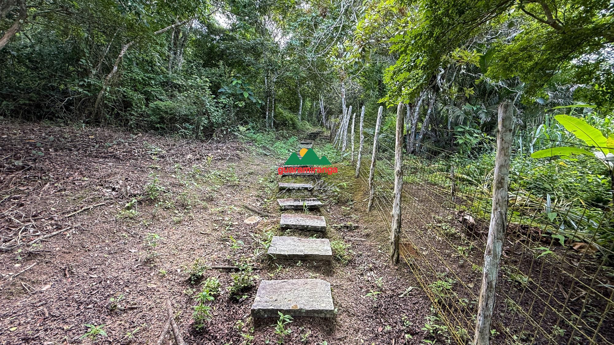 Chácara, 3 quartos, 17 m² - Foto 50