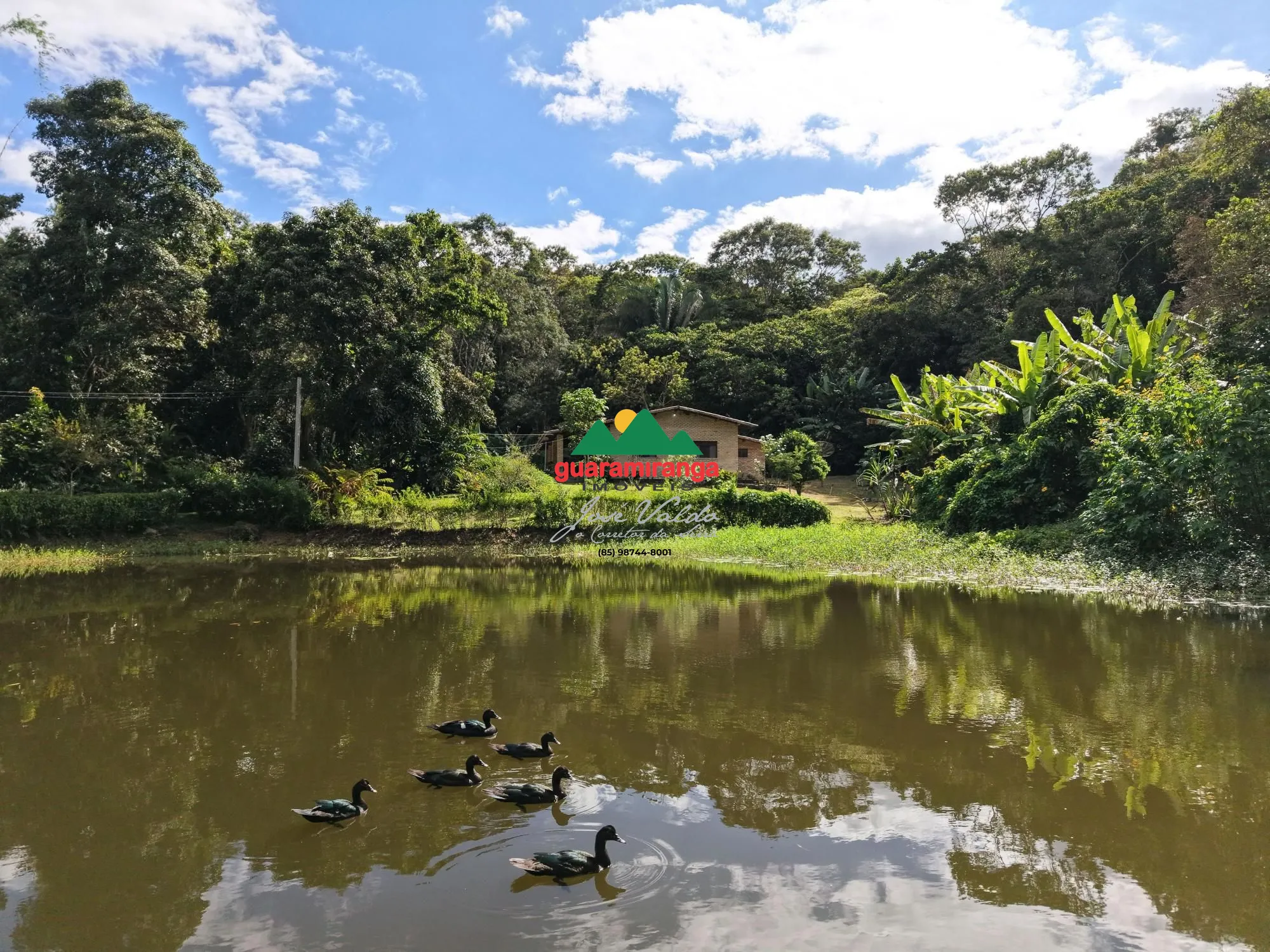 Fazenda/sítio/chácara/haras à venda  no Santa Ana - Pacoti, CE. Imóveis
