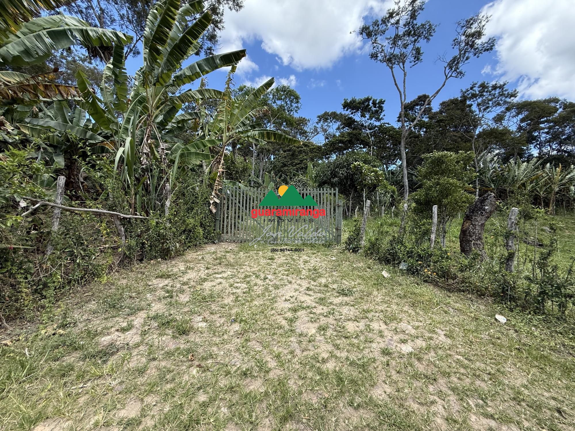 Sítio, 1 quarto, 6 hectares - Foto 15