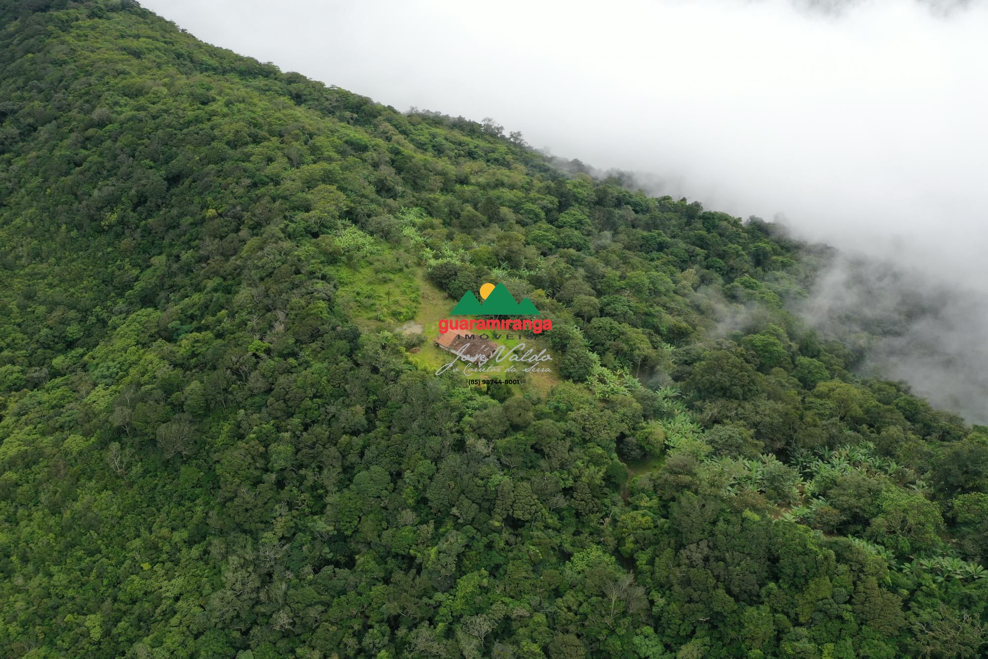 Sítio, 1 quarto, 26 hectares - Foto 31