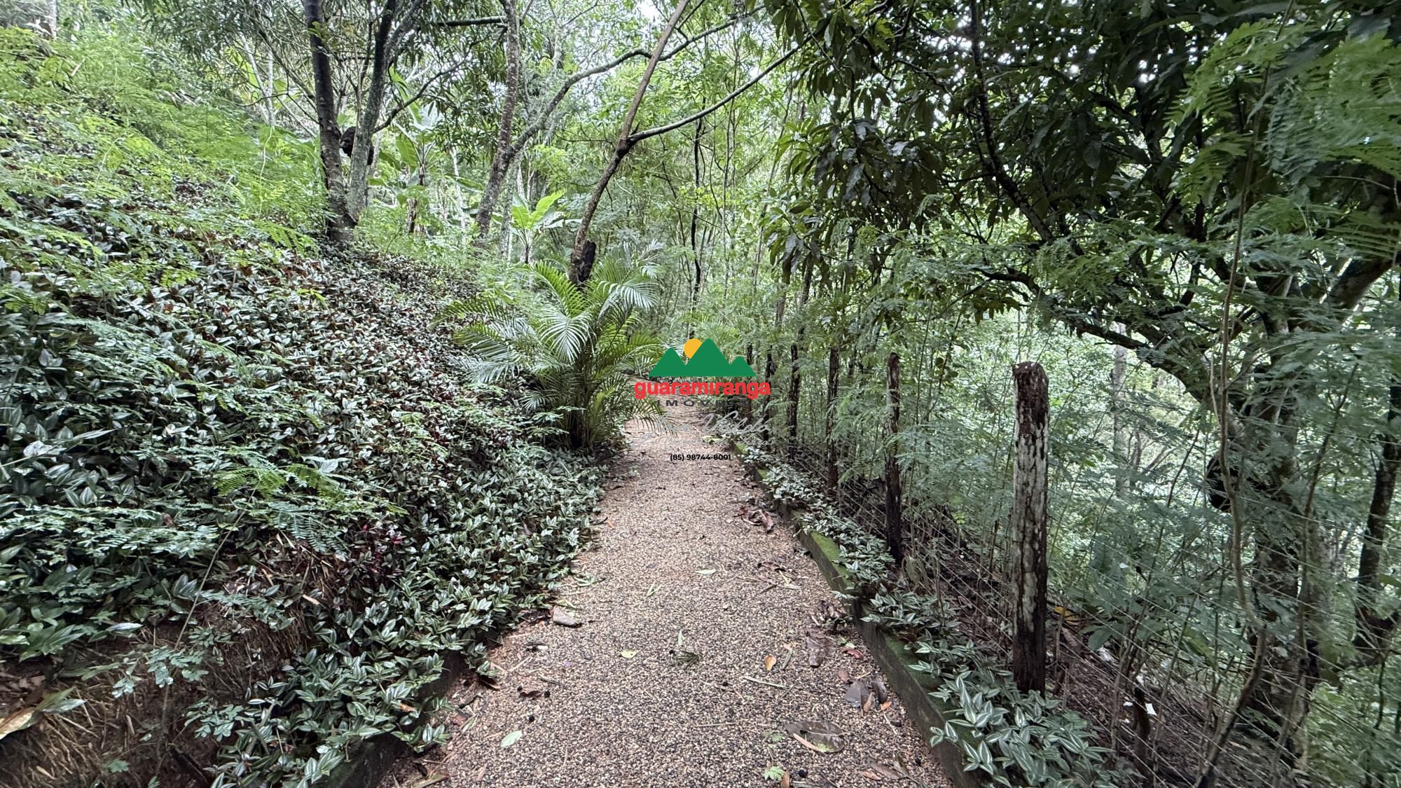 Sítio, 10 quartos, 2 hectares - Foto 34