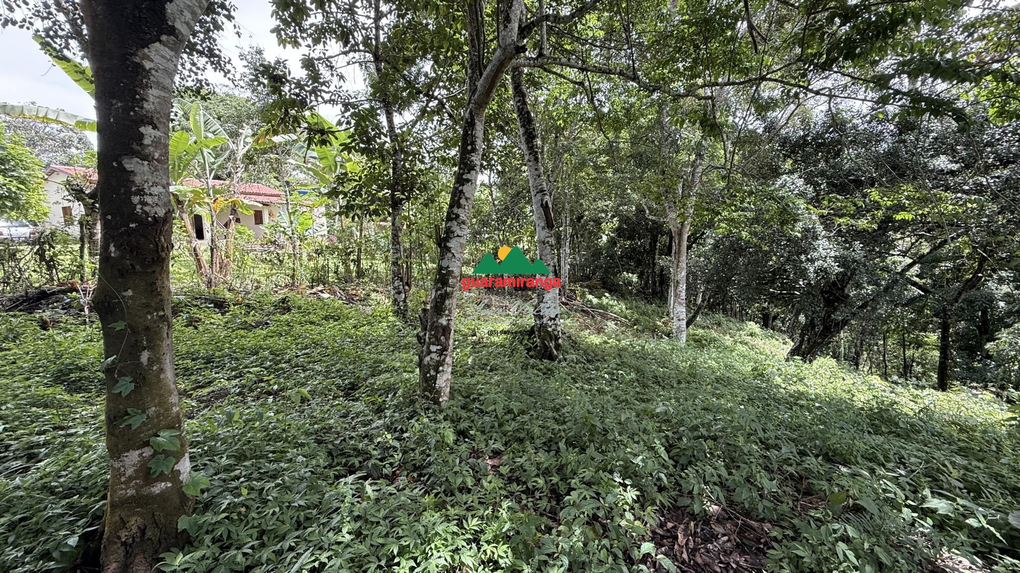 Terreno, 2500 m² - Foto 4