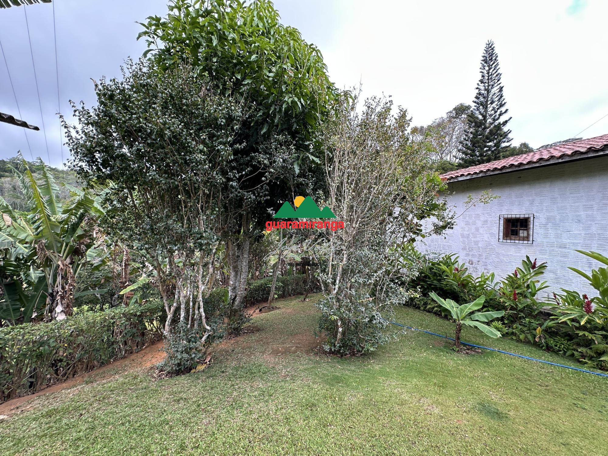 Chácara, 4 quartos, 10000 m² - Foto 46