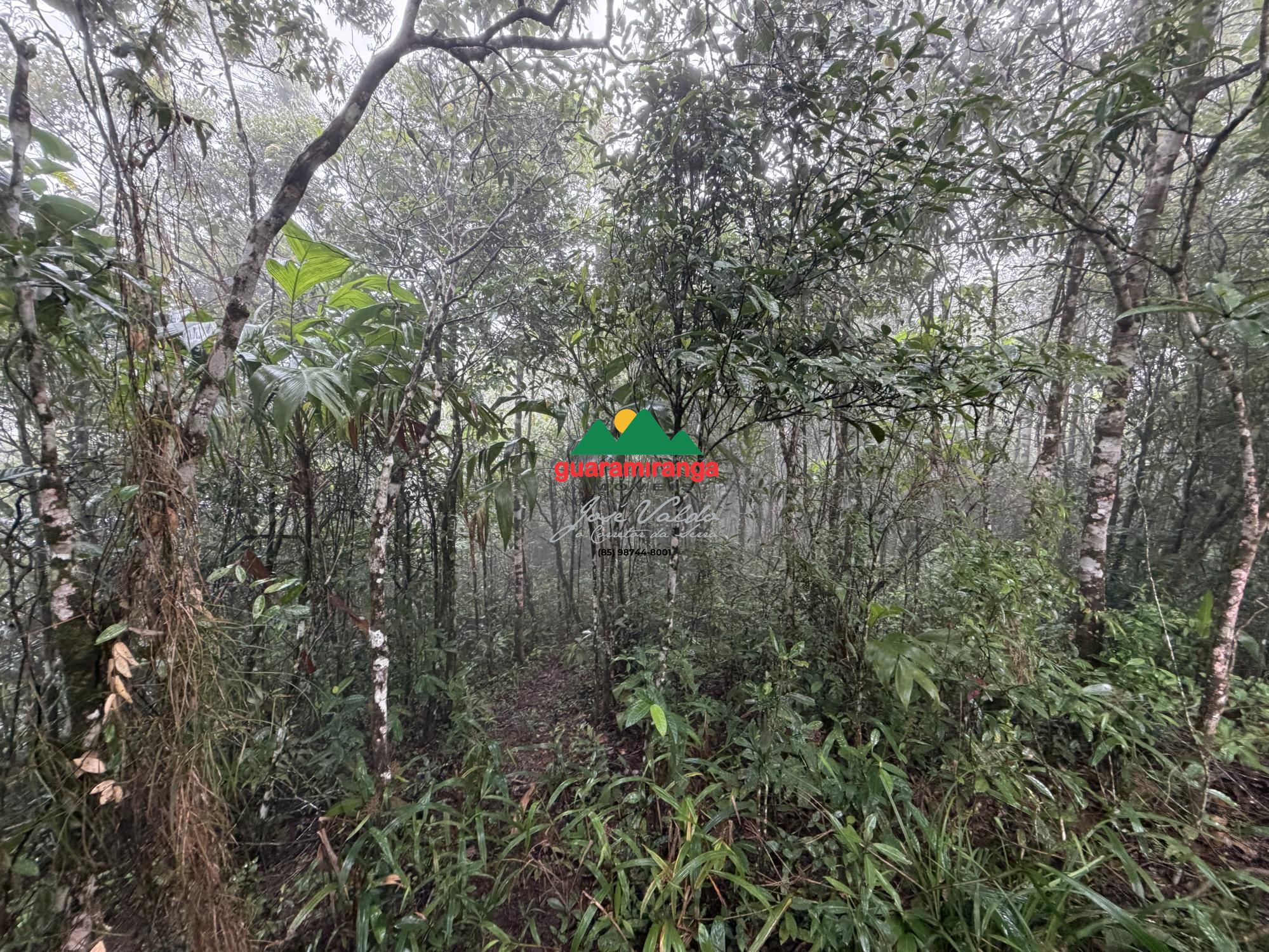 Terreno/Lote à venda, 9.271 m² por R$ 350.000,00 Terreno/Lote à venda, 9.271 m² por R$ 350.000,00