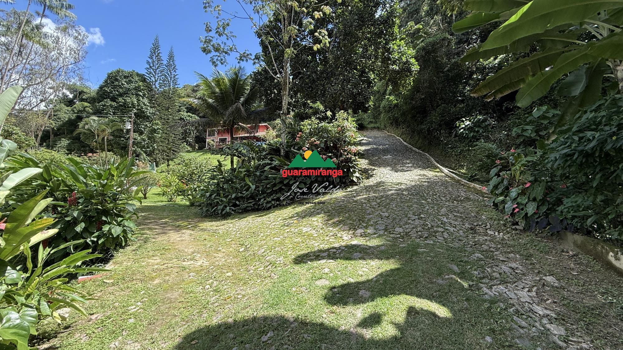 Sítio, 4 quartos, 6066 m² - Foto 4