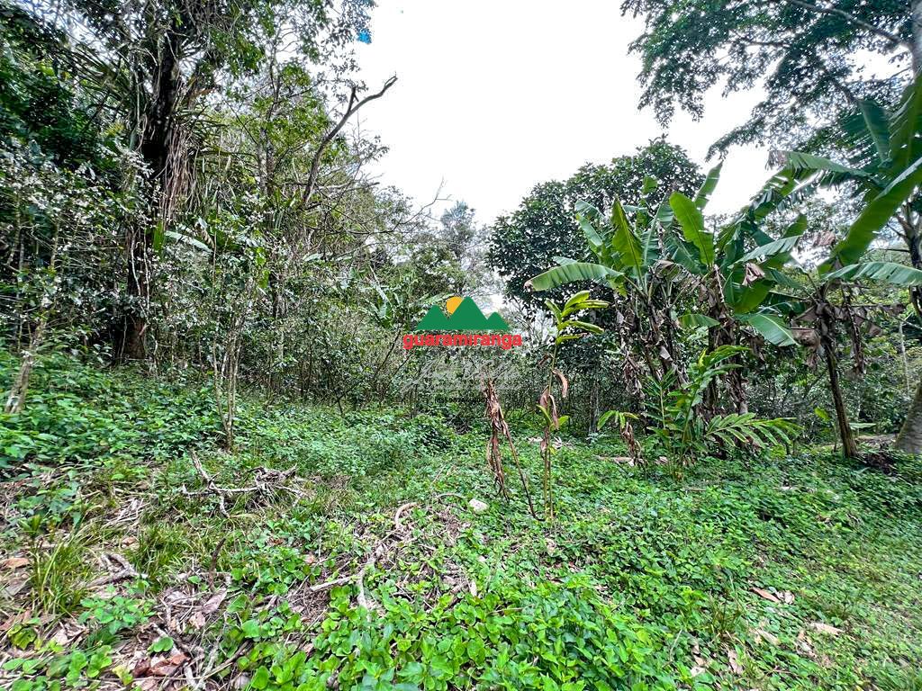 Sítio, 1 quarto, 39 hectares - Foto 12
