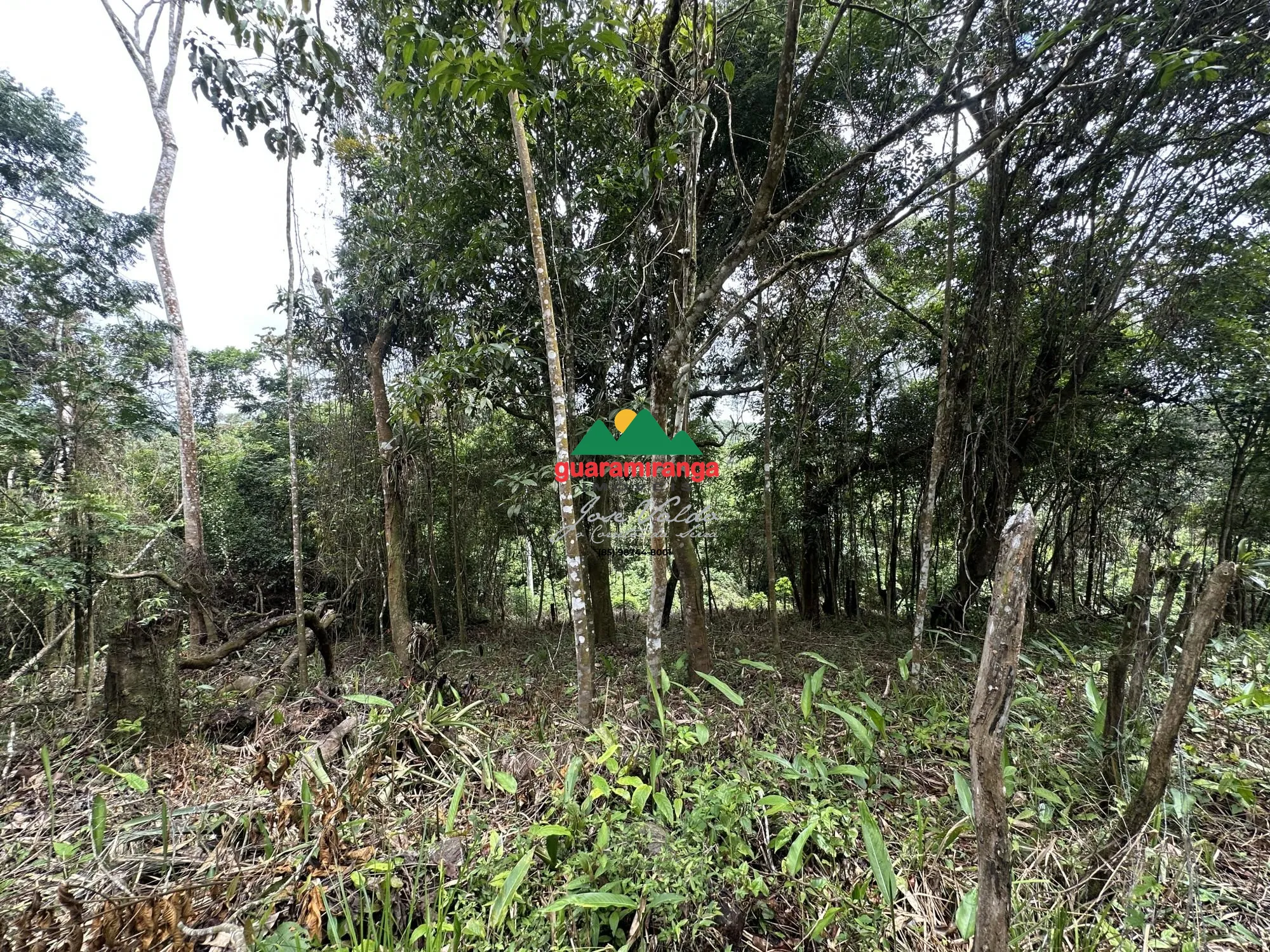 Terreno/Lote à venda  no Centro - Pacoti, CE. Imóveis